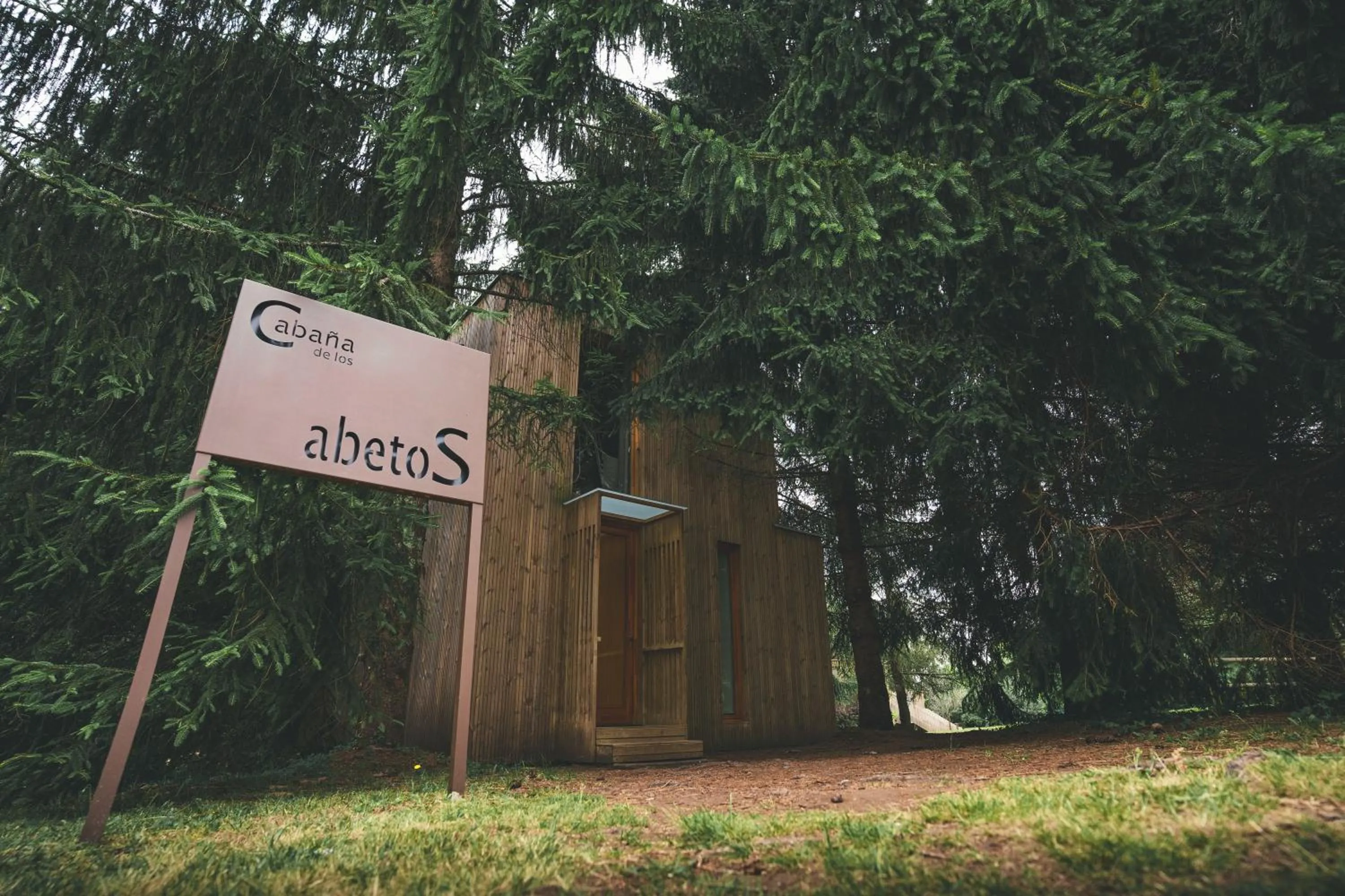 Logo/Certificate/Sign in HolaCamp Camino