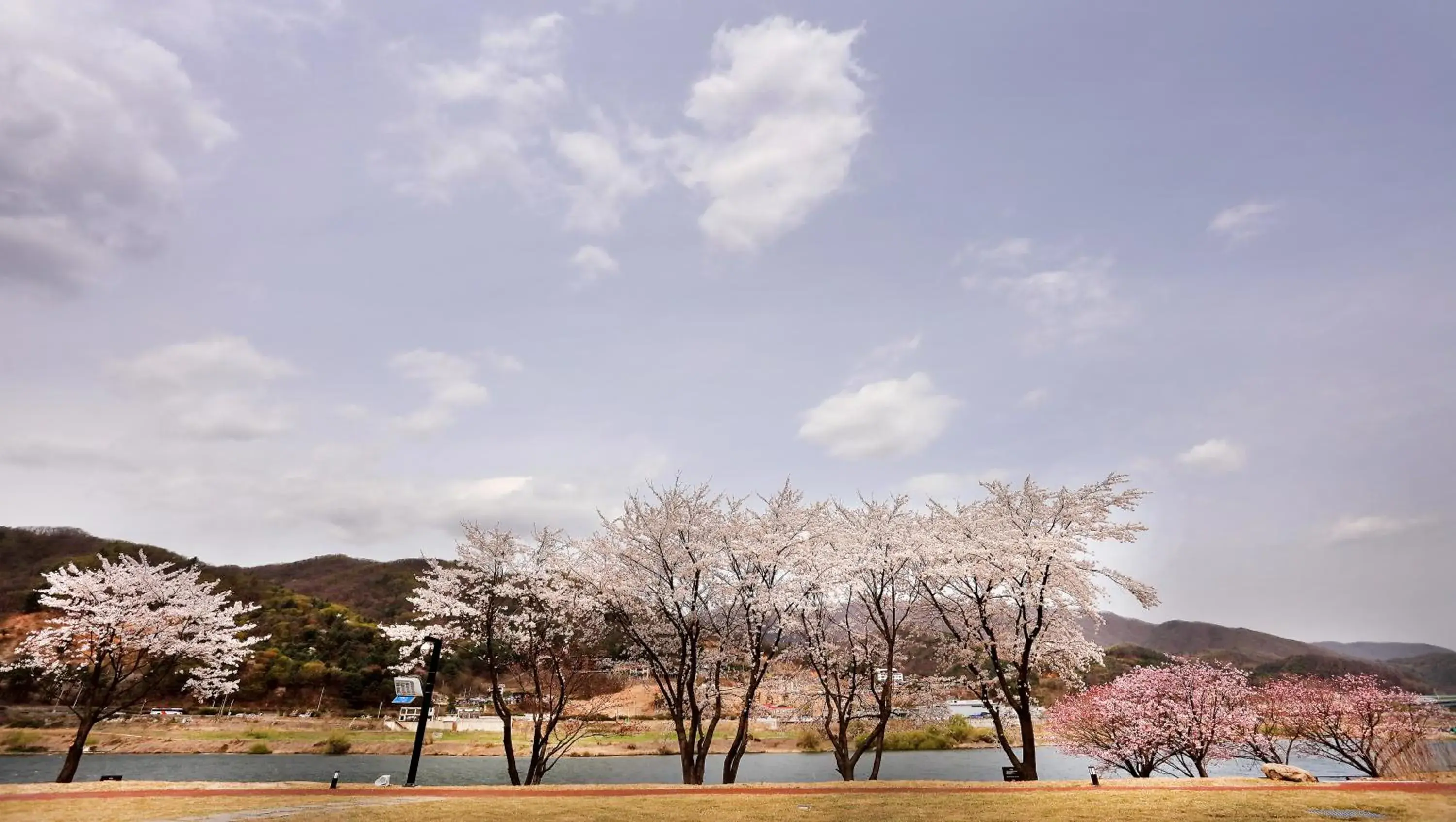 Property building in Midas Hotel & Resort Property building in Midas Hotel & Resort