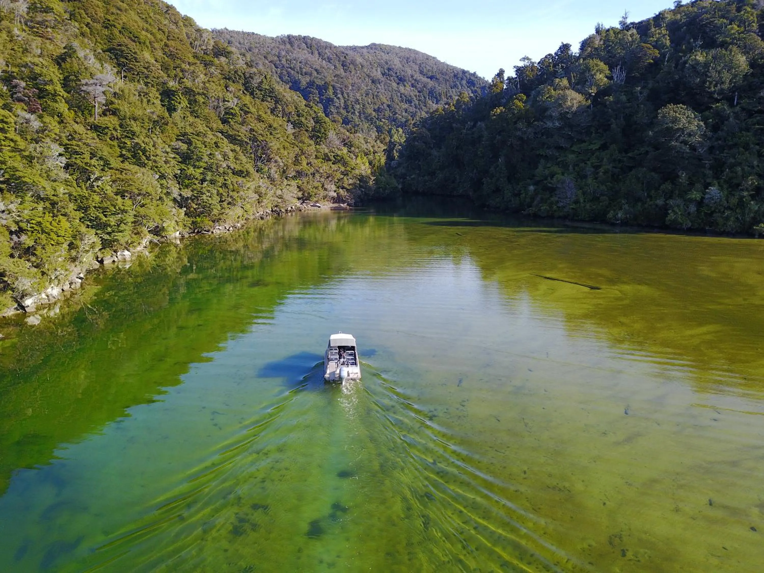 Natural landscape in Century Park