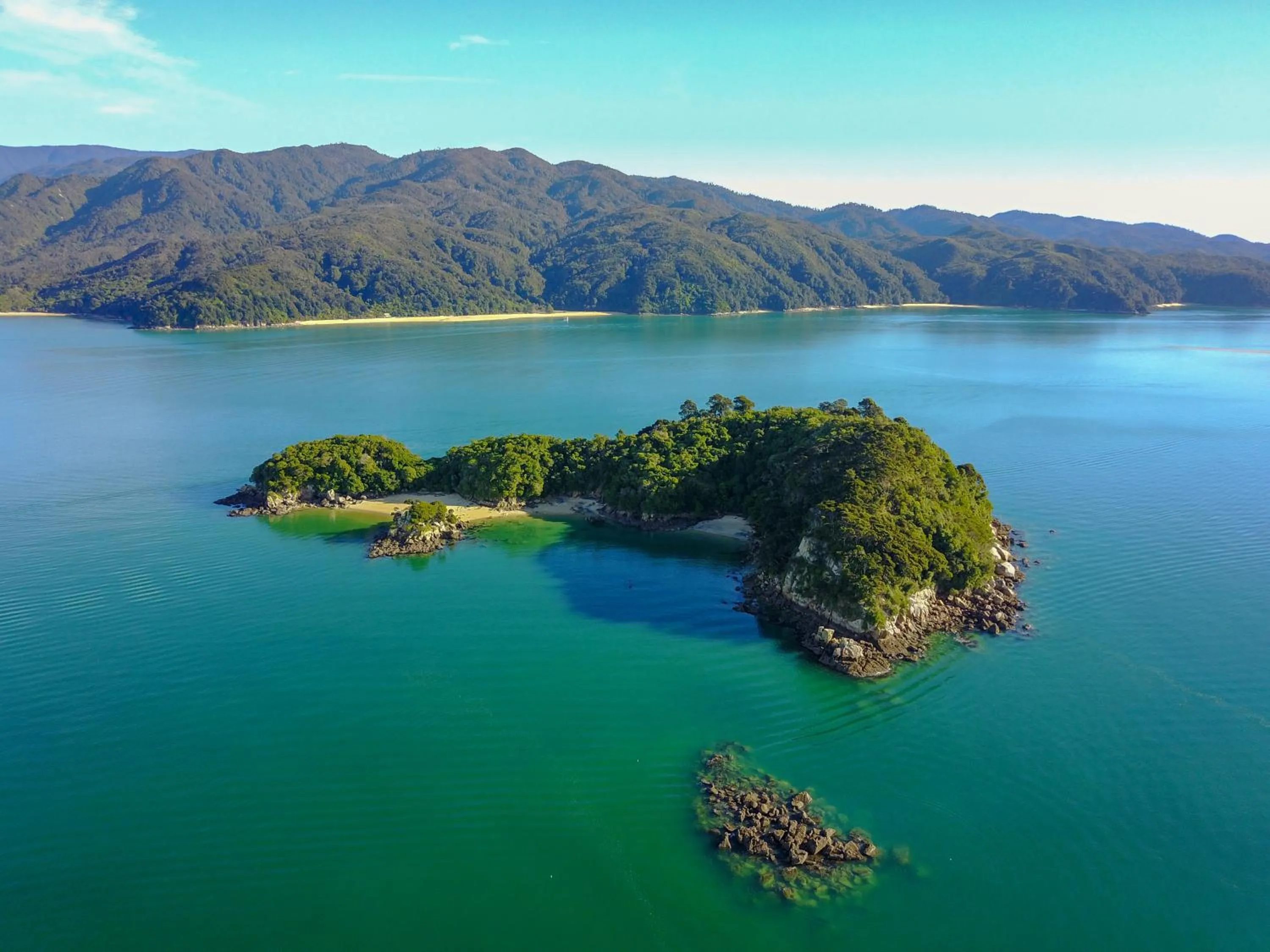 Natural landscape in Century Park