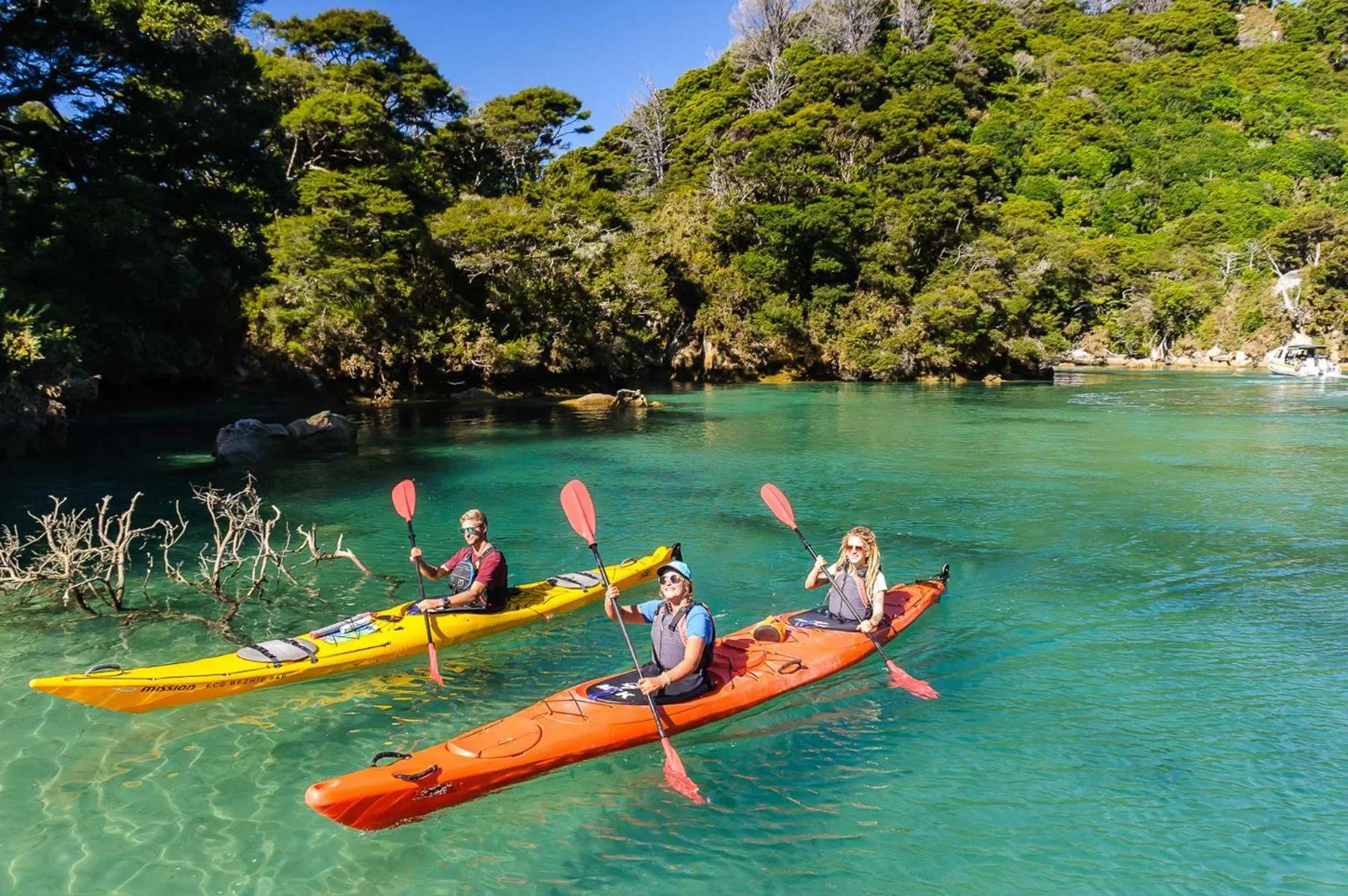 Activities in Century Park