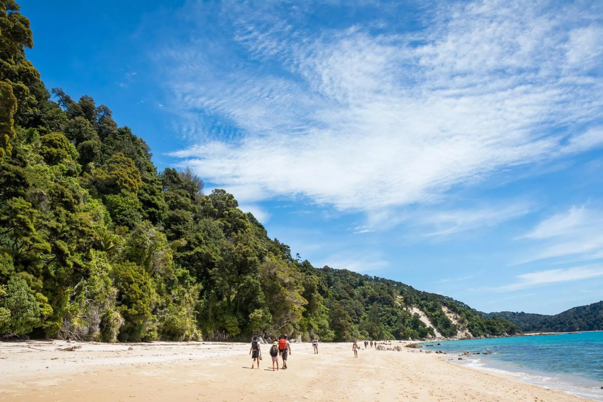 Natural landscape in Century Park