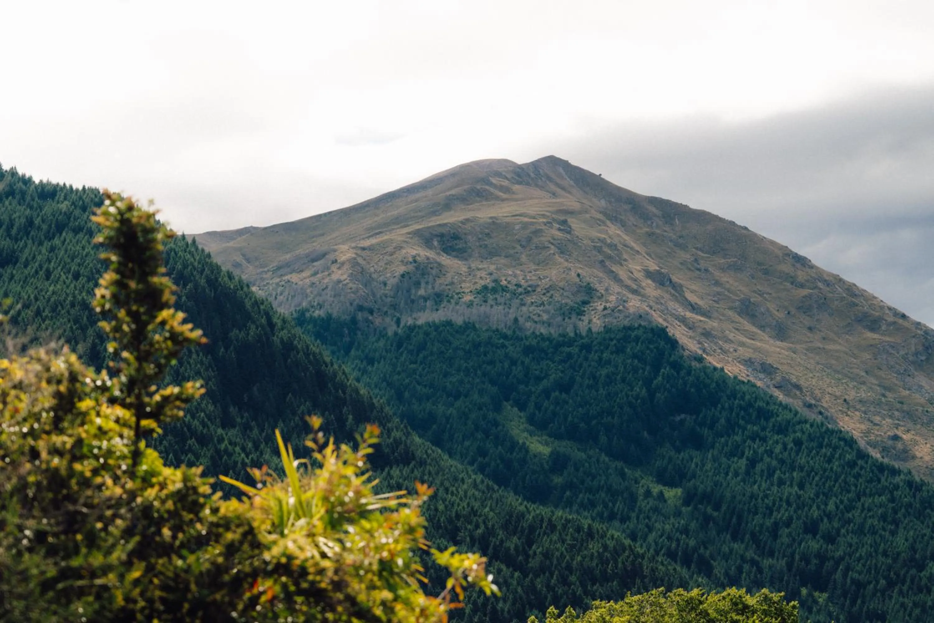 Mountain view in The Central Hotel Queenstown, A Naumi Chapter