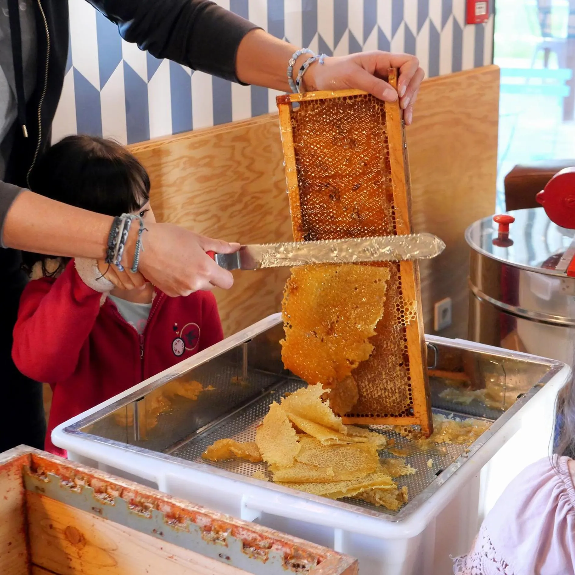 Activities in Eklo Hotels Lille