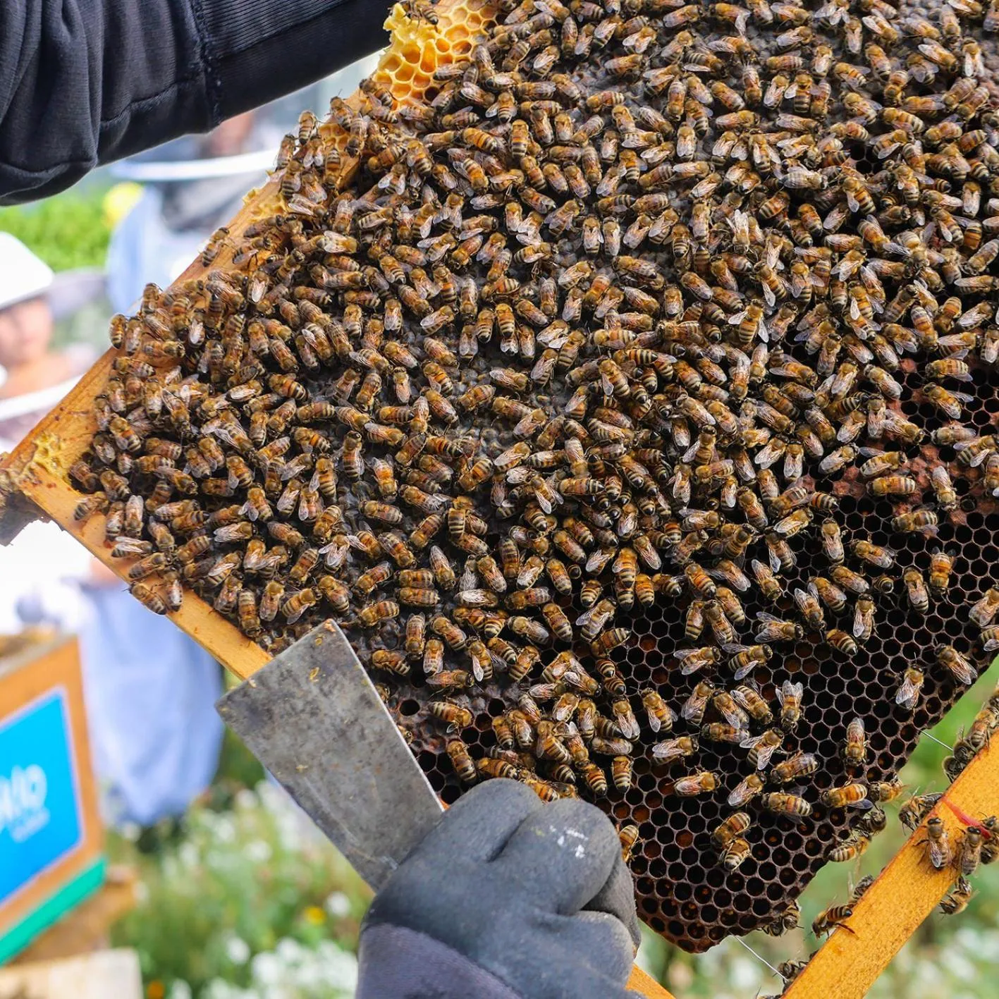 Food and drinks in Eklo Hotels Lille