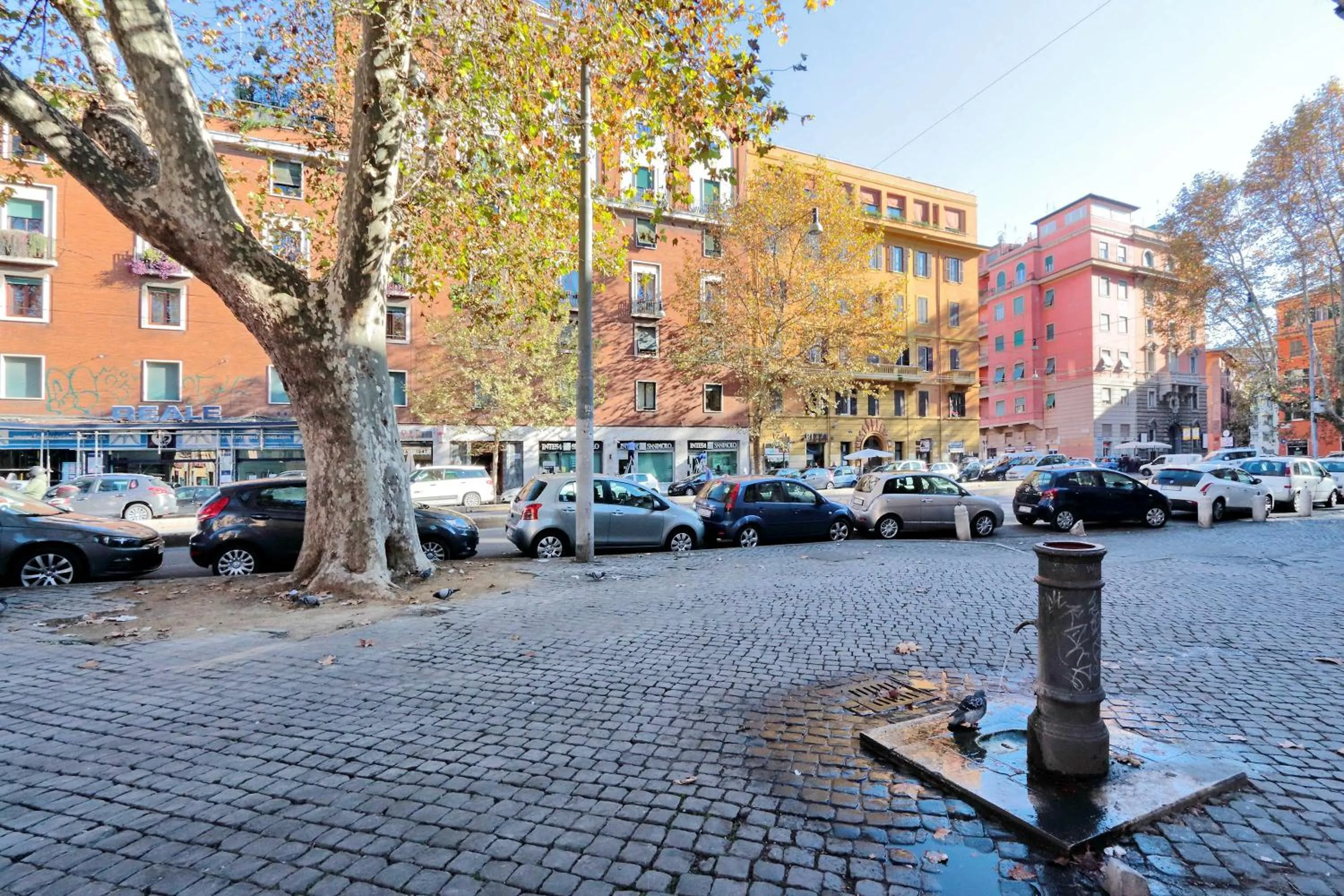 Neighbourhood in Sonnino Suite