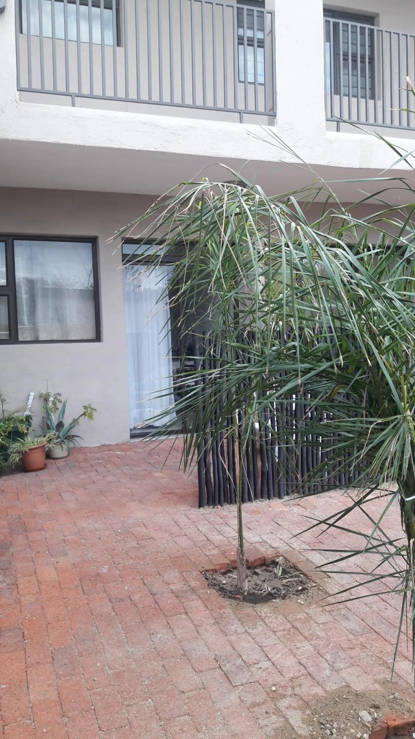 Self-catering Studio, Unit 6 on Krupp