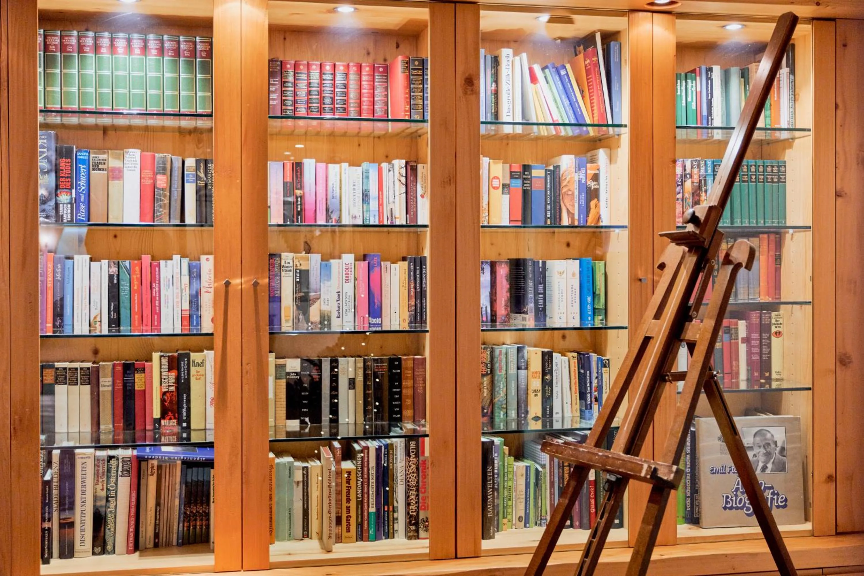 Library in Aktiv & Spa Hotel Alpenrose