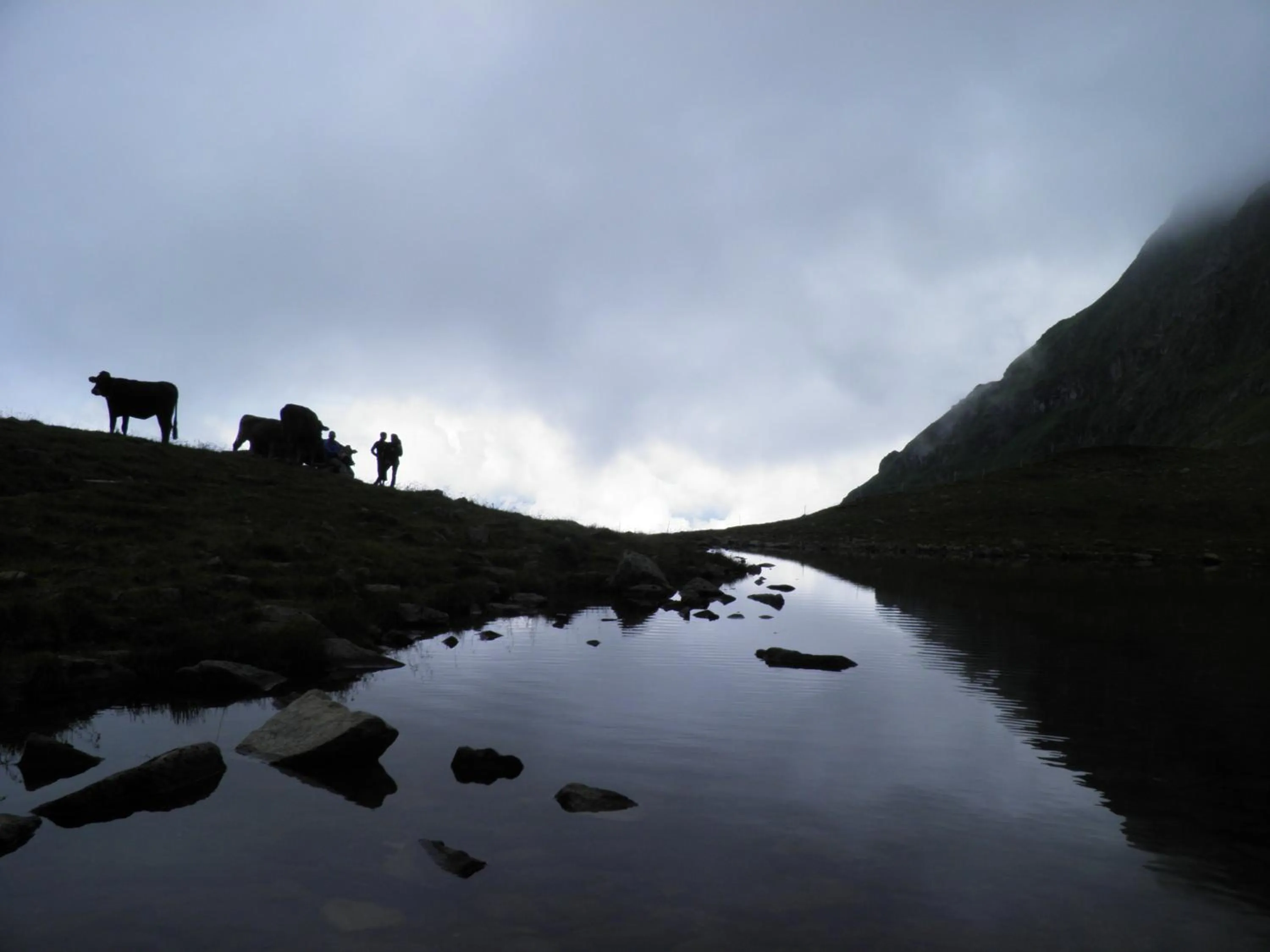 Natural landscape in Aktiv & Spa Hotel Alpenrose