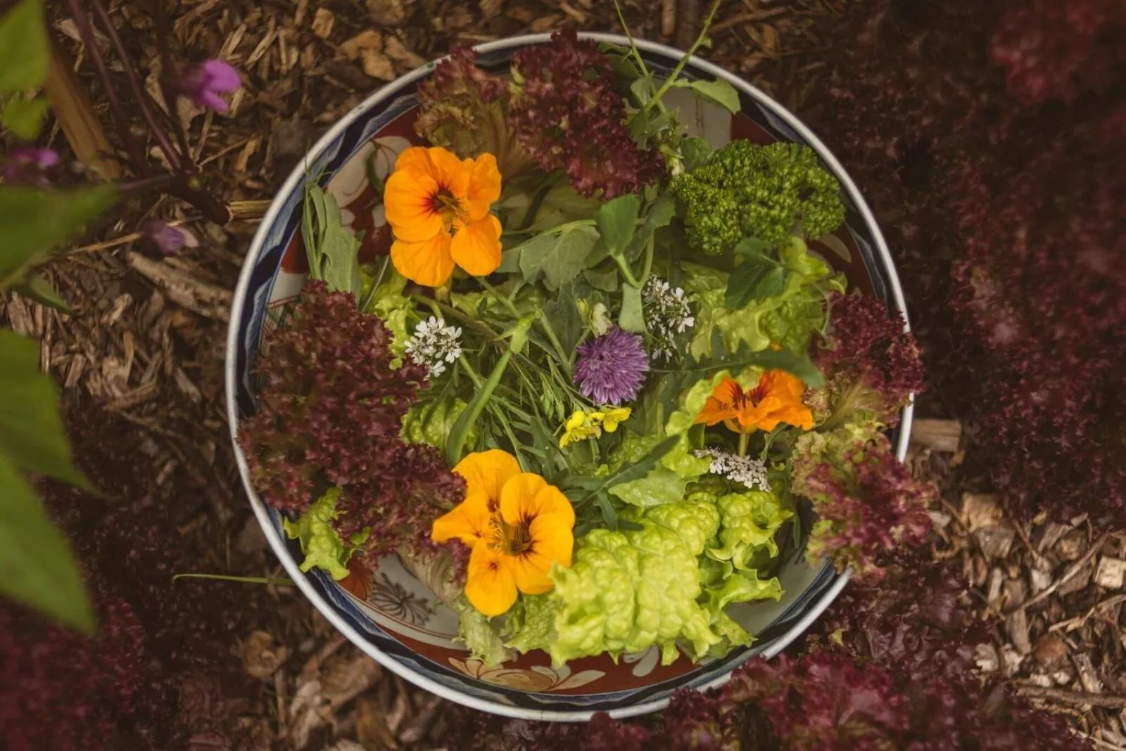 Garden view in Fernhill House Hotel & Gardens
