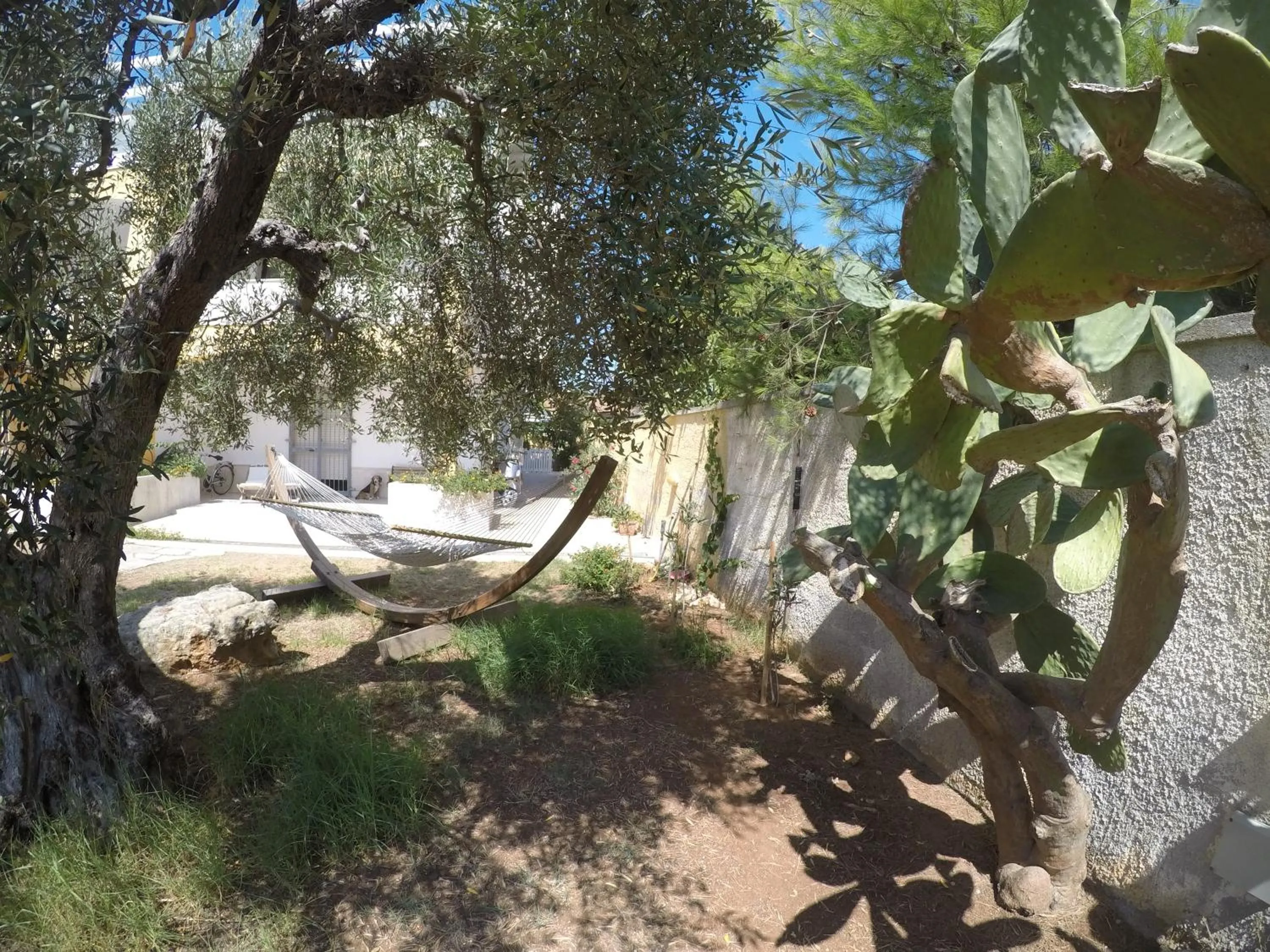 Garden in Mansarda sul Mare