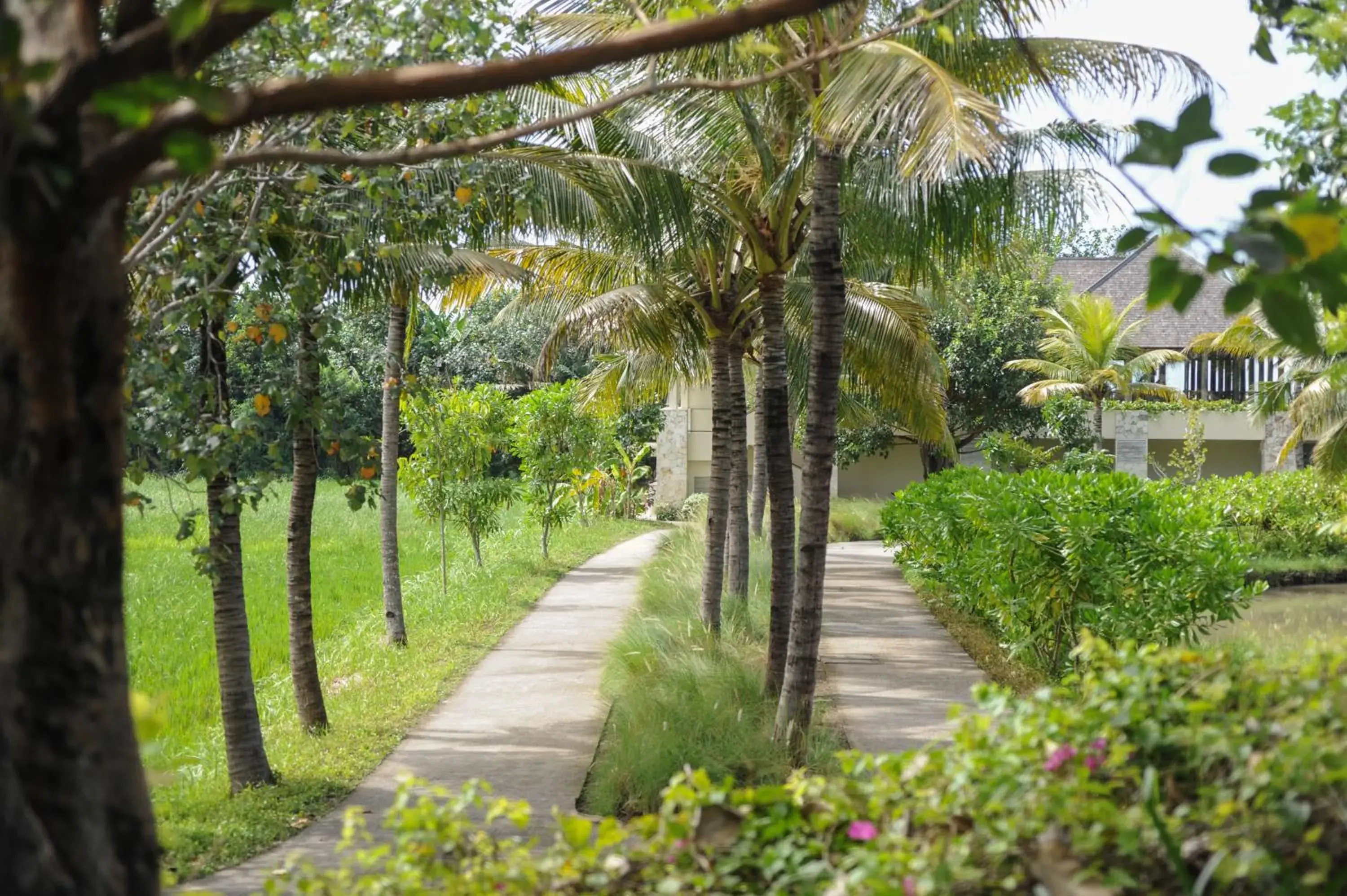 Garden view in Komaneka at Keramas Beach Garden view in Komaneka at Keramas Beach