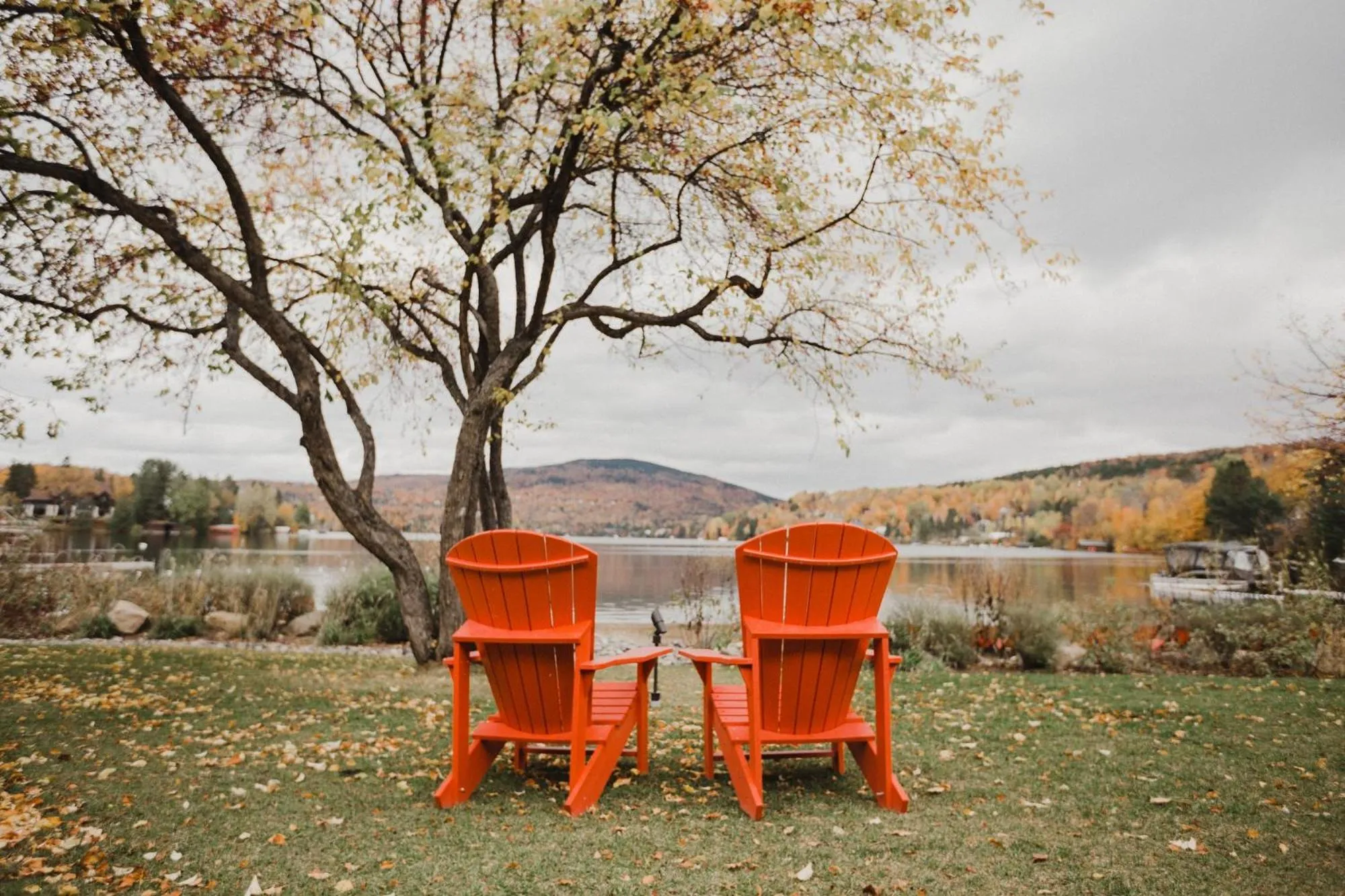 Lake view in Entourage sur-le-Lac