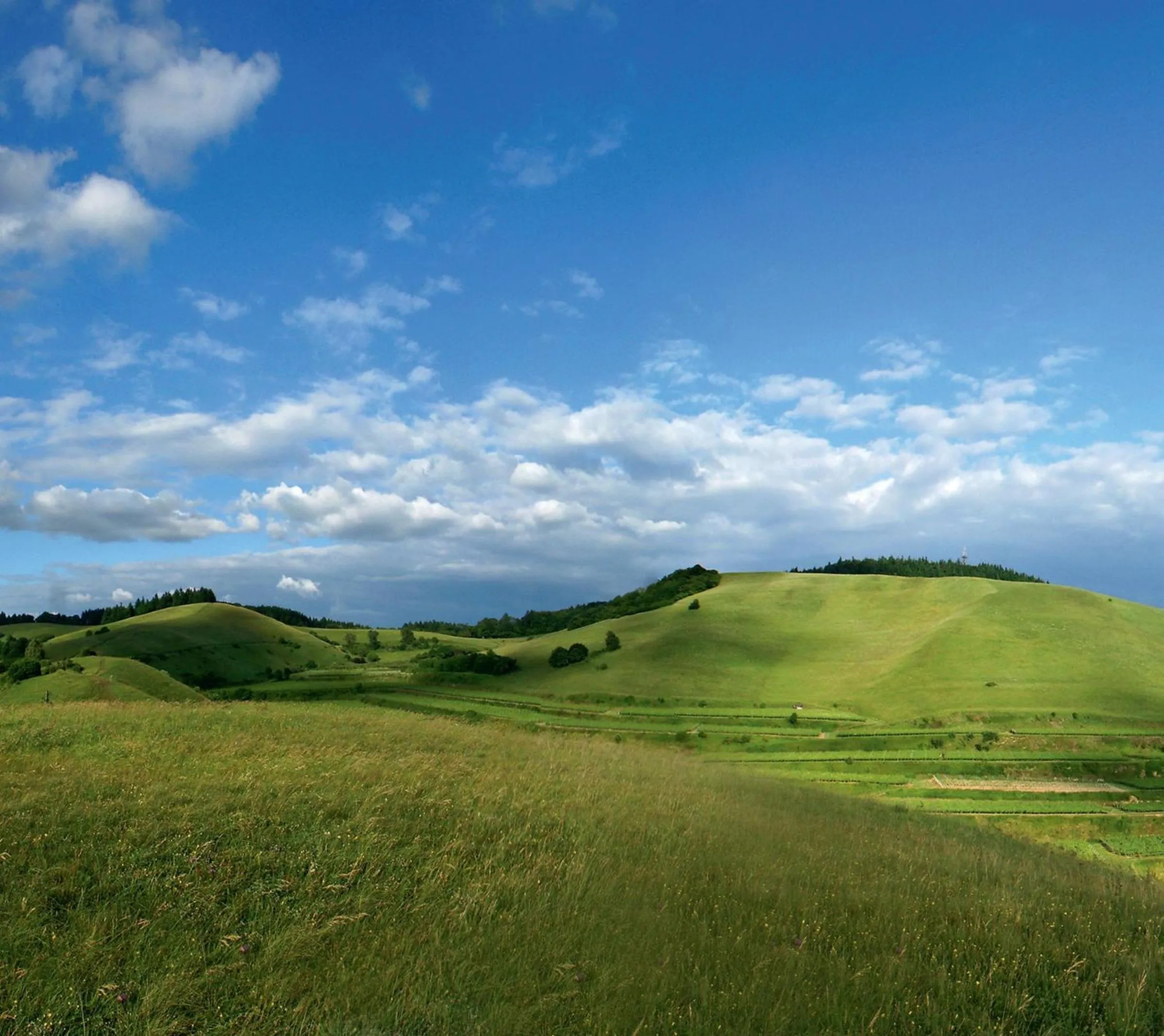 Natural landscape in Kreuz-Post Hotel-Restaurant-SPA