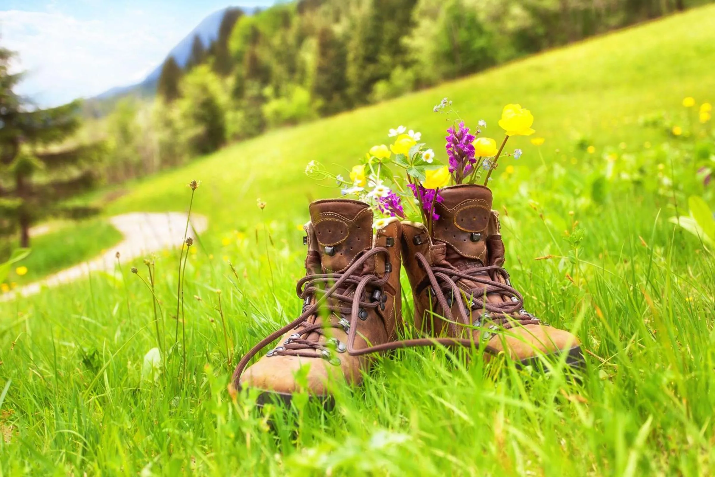 Natural landscape in Kreuz-Post Hotel-Restaurant-SPA