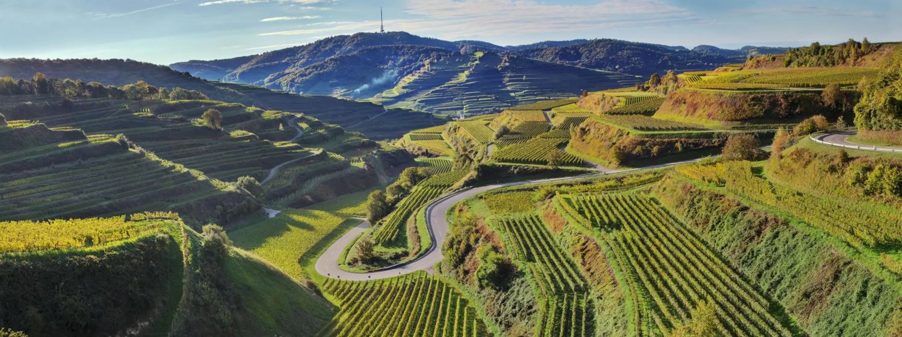 Area and facilities in Kreuz-Post Hotel-Restaurant-SPA