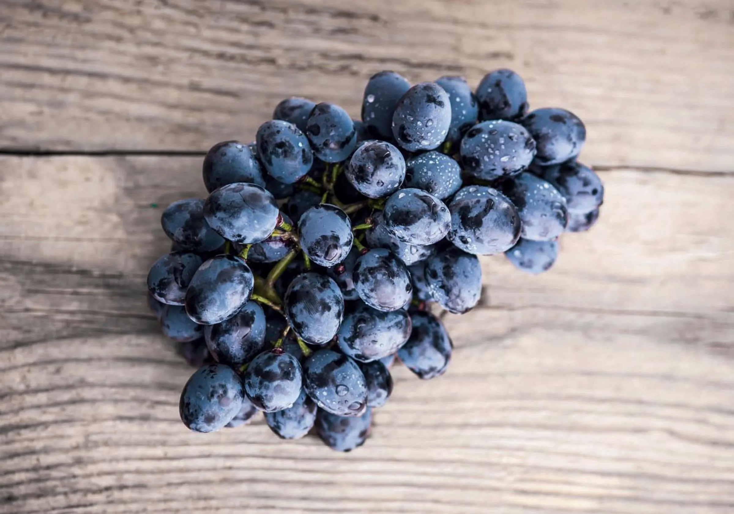 Natural landscape in Kreuz-Post Hotel-Restaurant-SPA