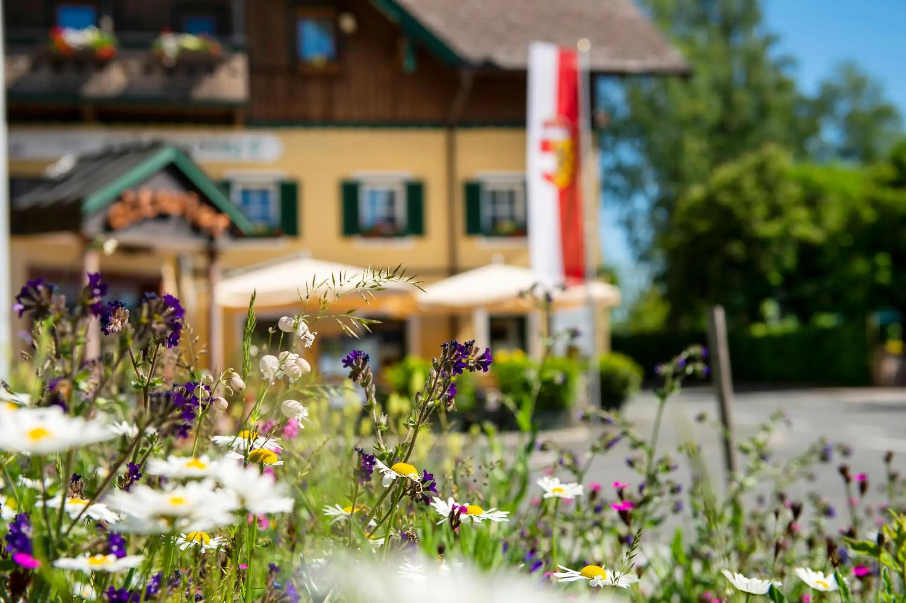 Hotel Landgasthof Altwirt Hotel Landgasthof Altwirt