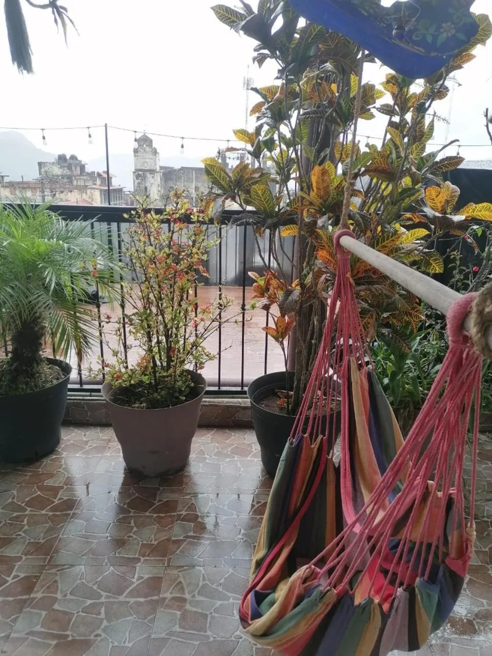 View (from property/room) in Grann Posada Xilitla