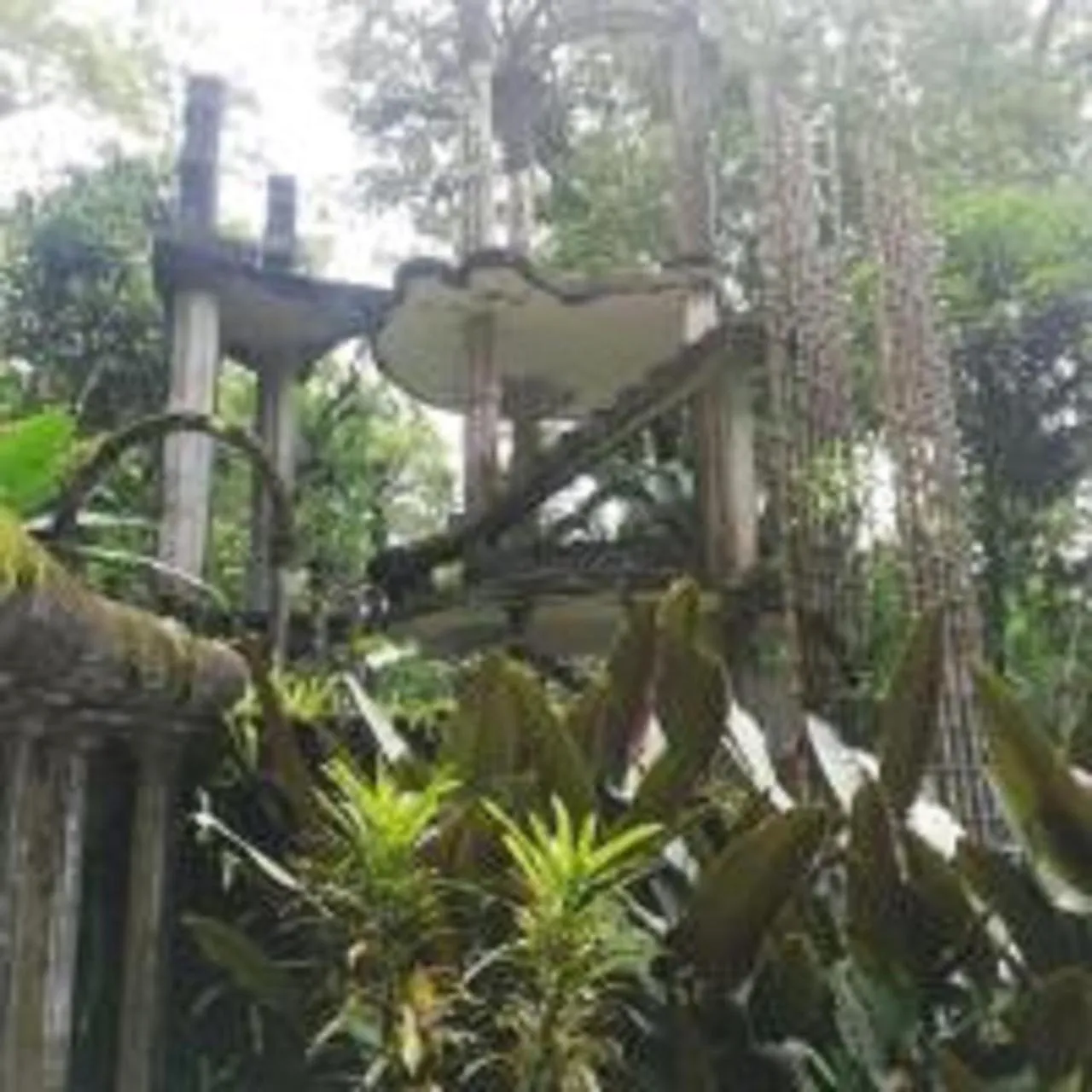 Other in Grann Posada Xilitla