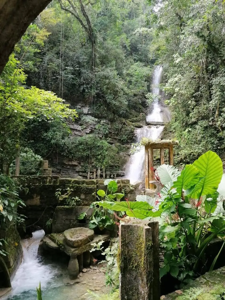 Hiking in Grann Posada Xilitla