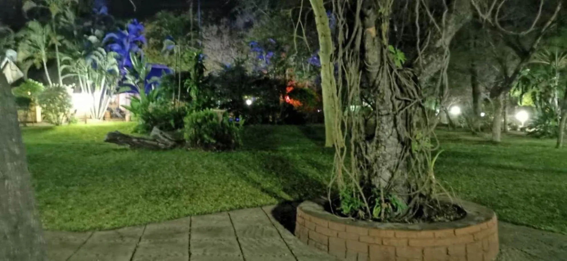 Garden in Sunbird Lodge