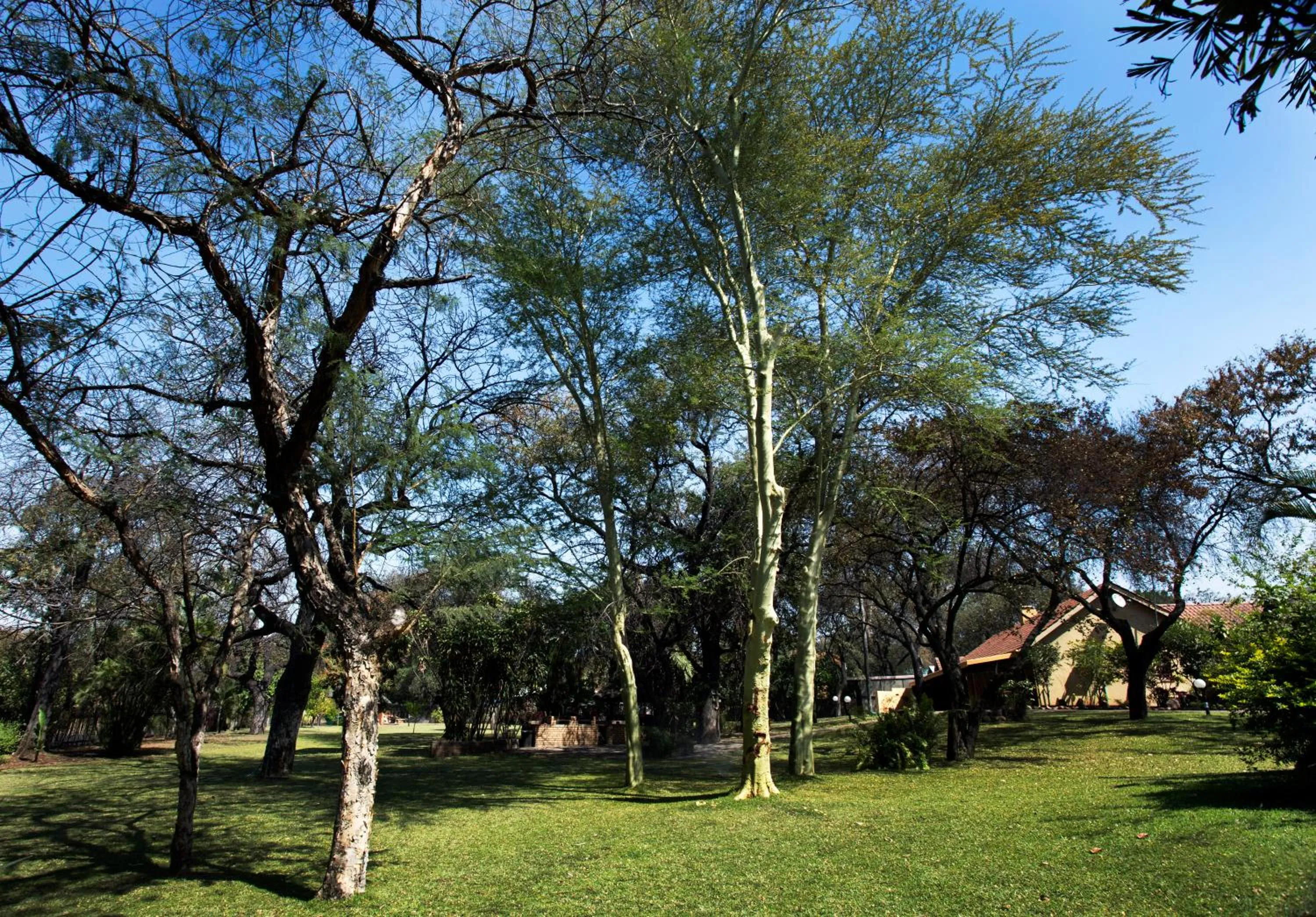 Garden in Sunbird Lodge