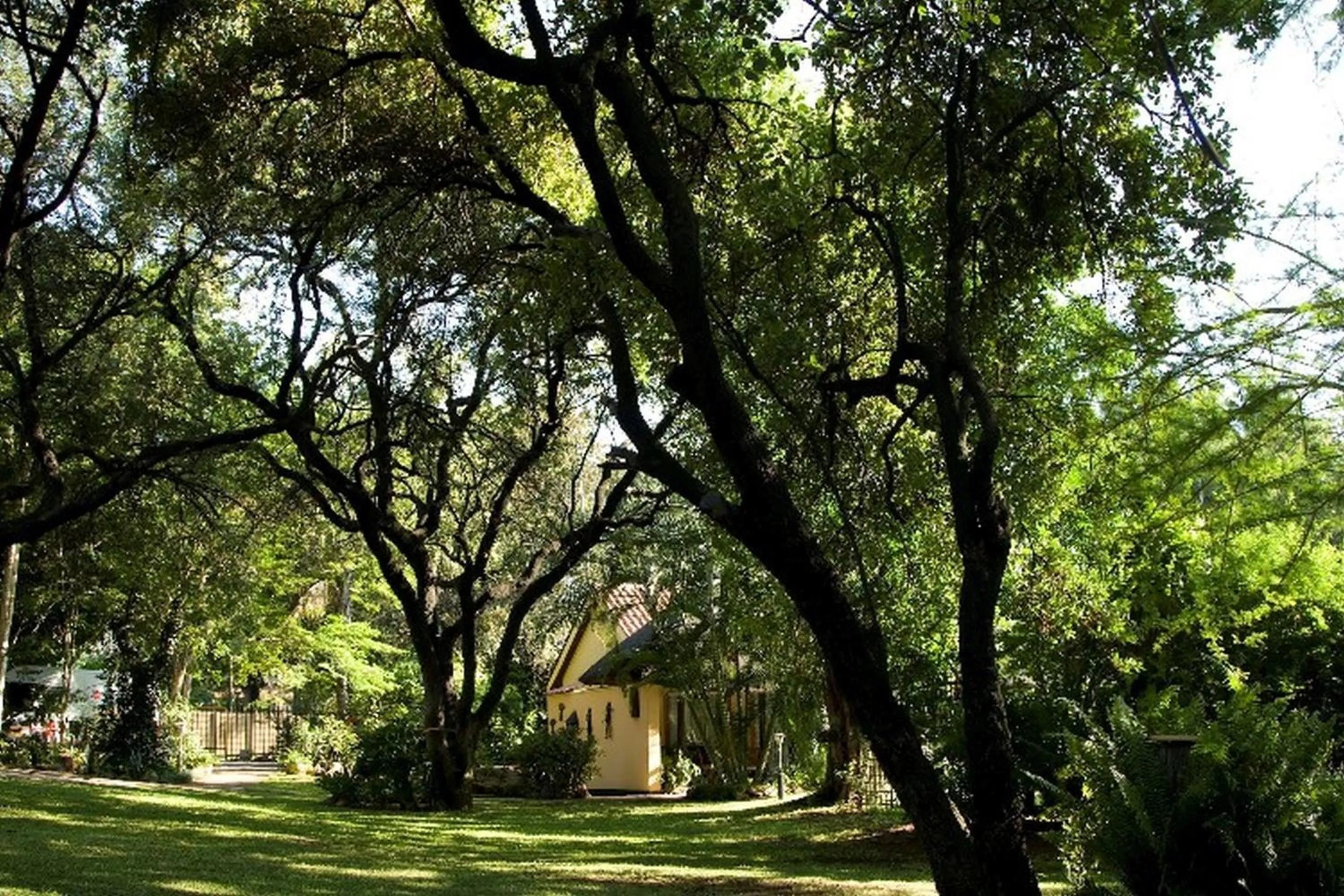 Garden in Sunbird Lodge