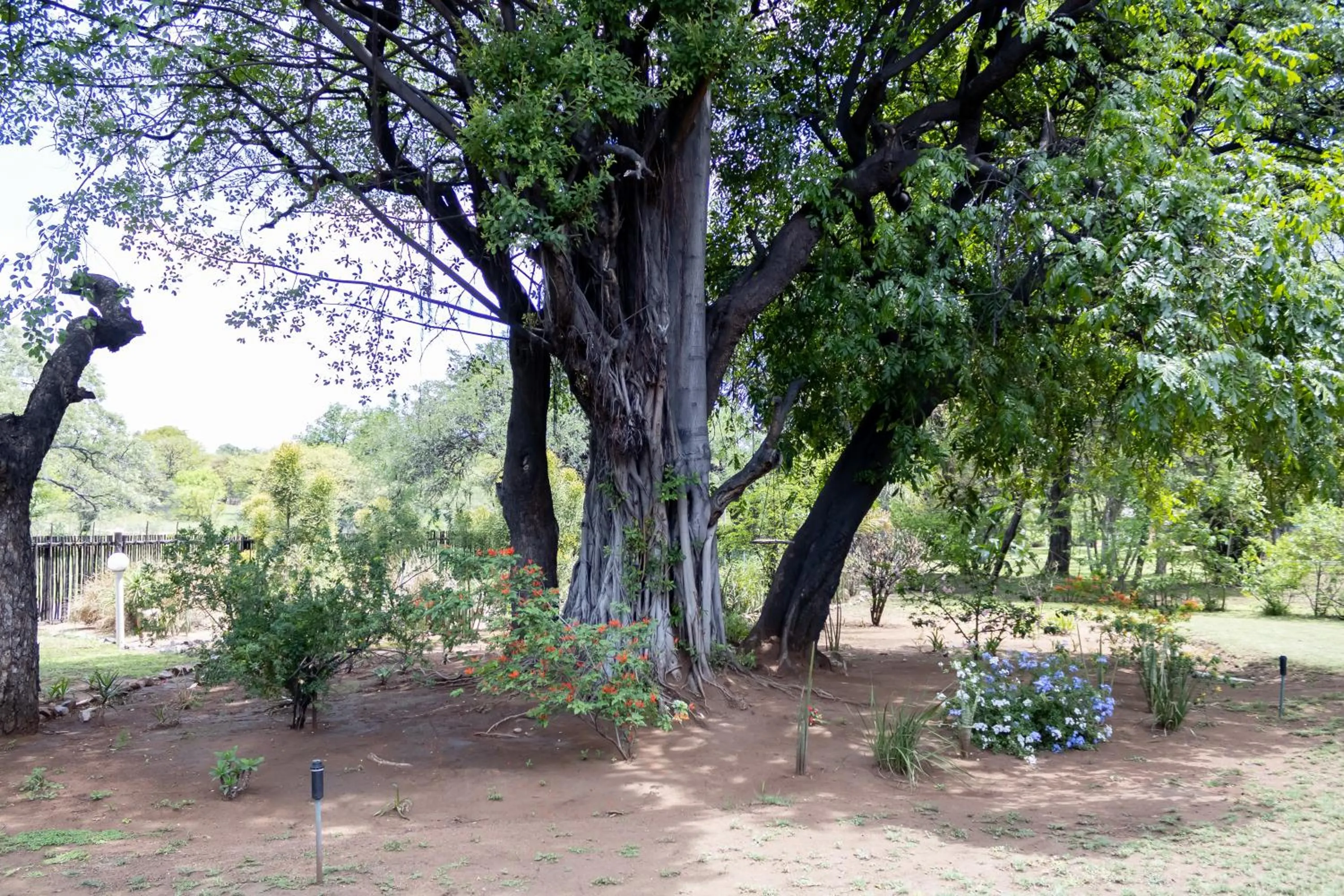 Day in Sunbird Lodge