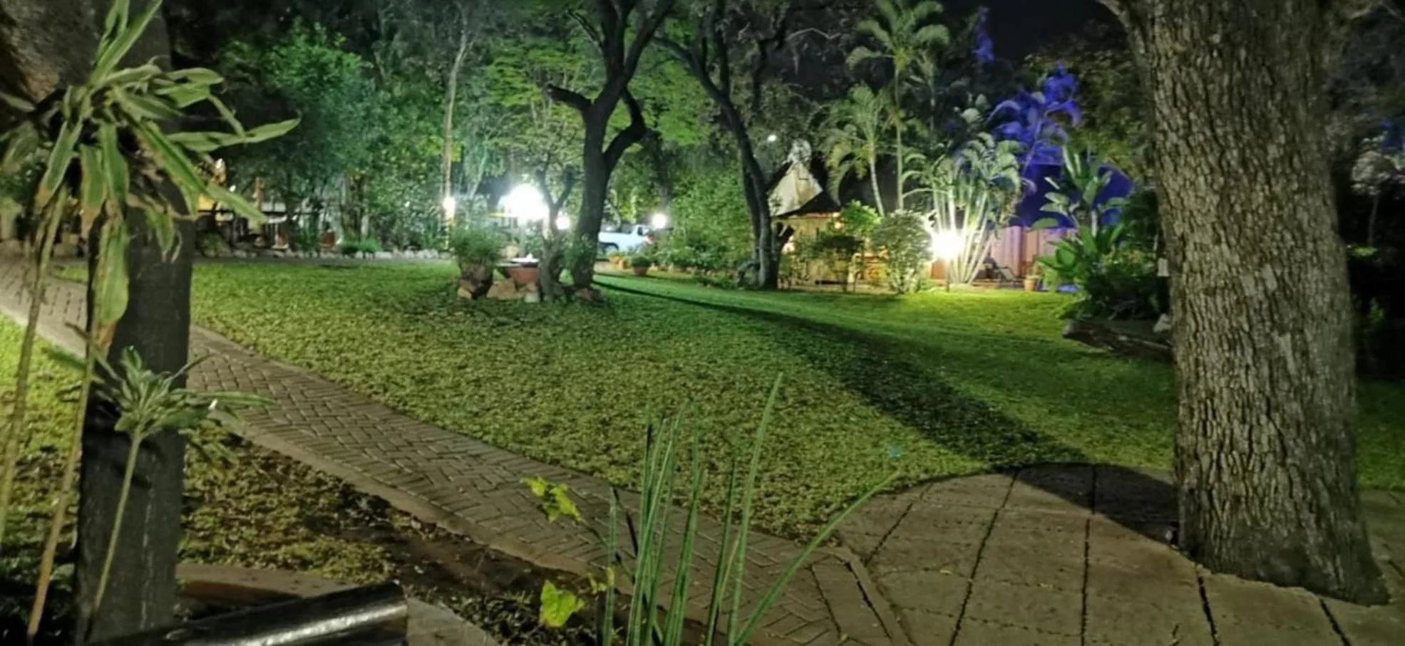 Garden in Sunbird Lodge