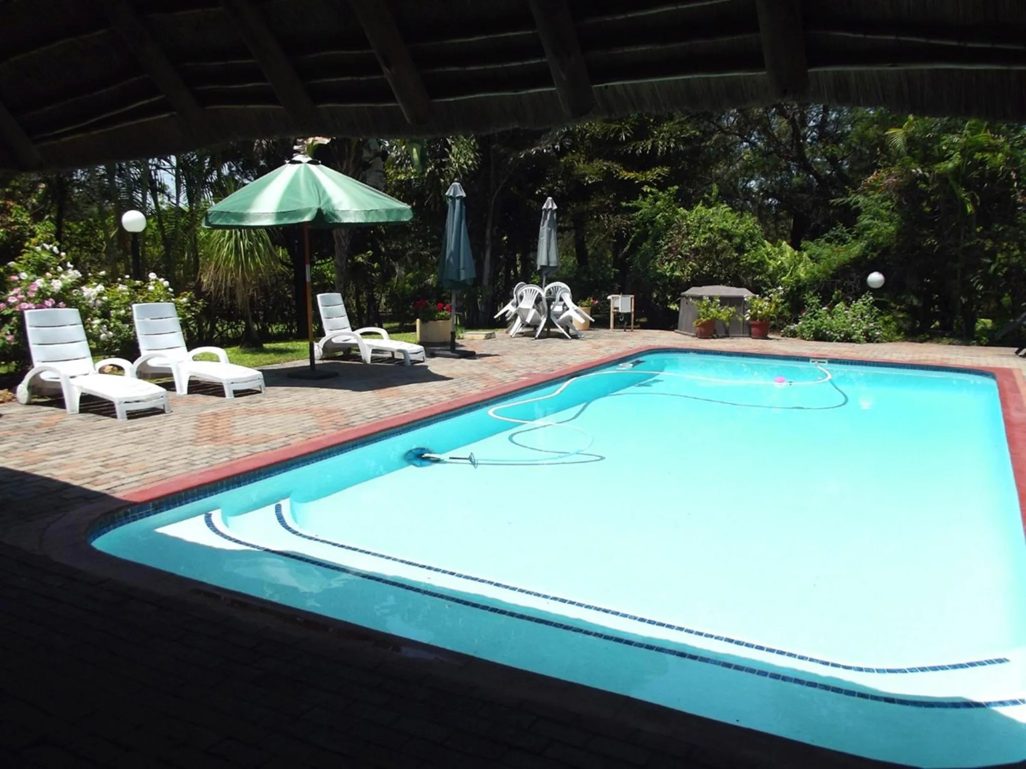 Swimming pool in Sunbird Lodge