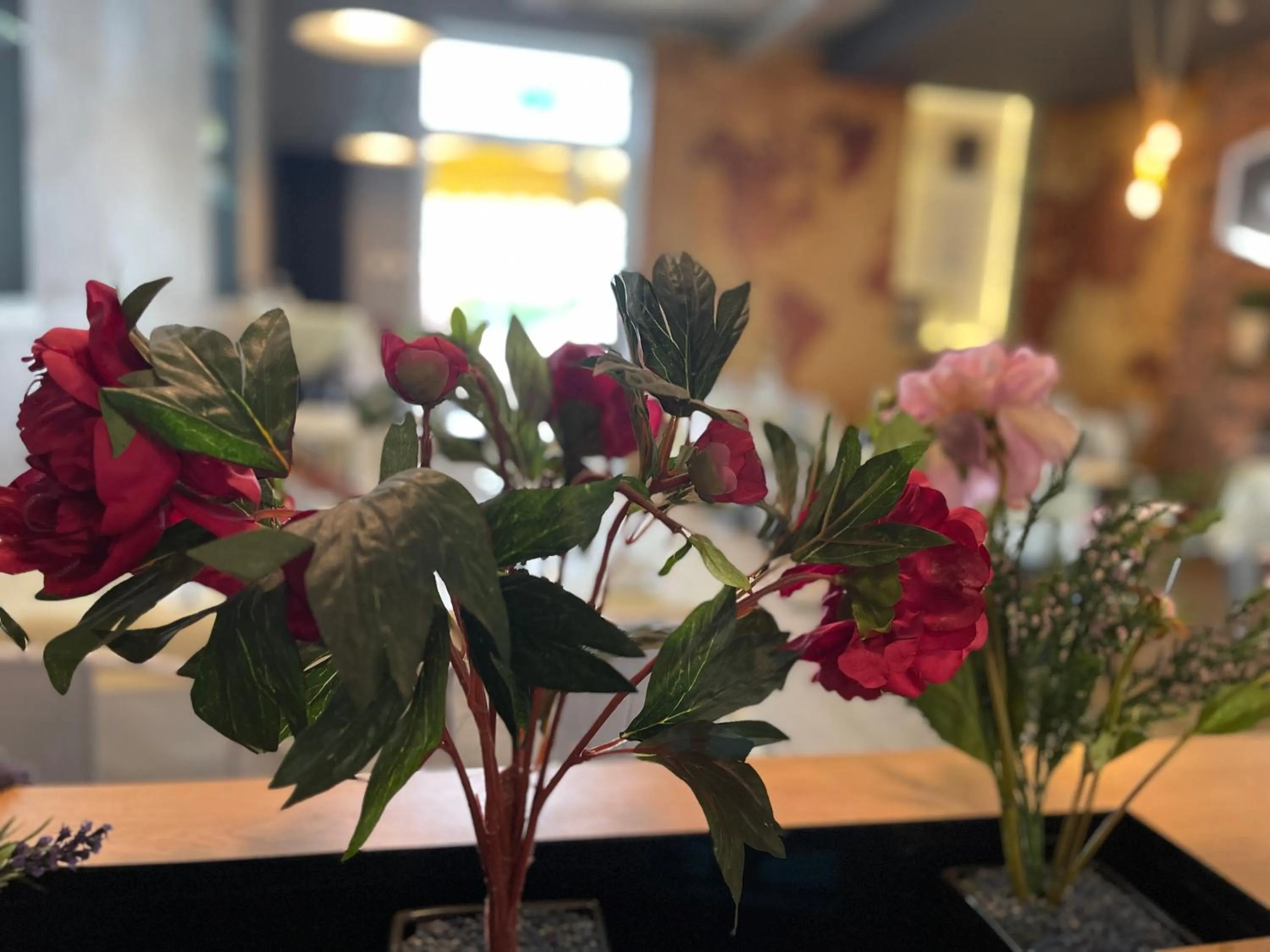 Restaurant/places to eat in Hotel Frederikspark