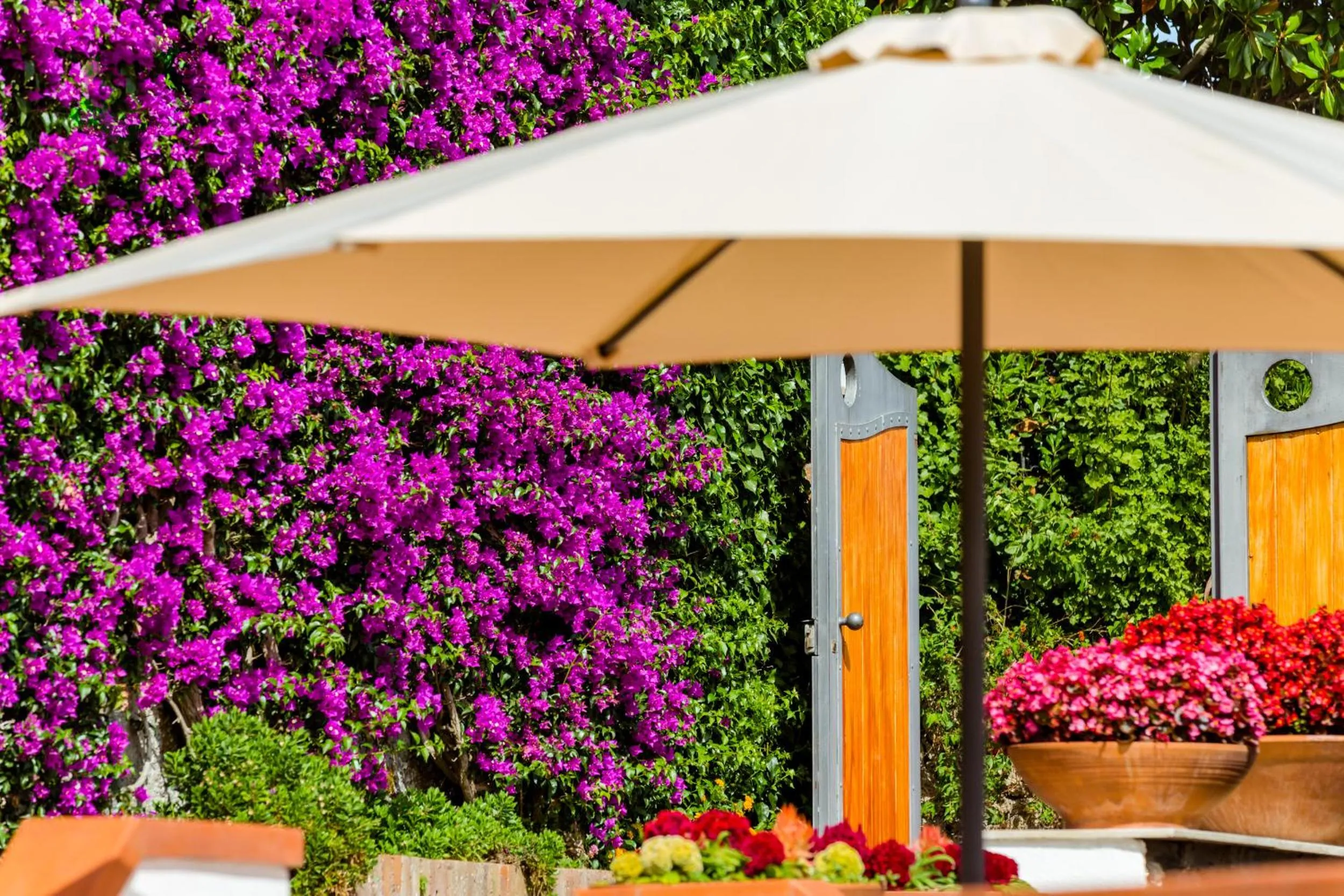 Property building in Villa Araucaria