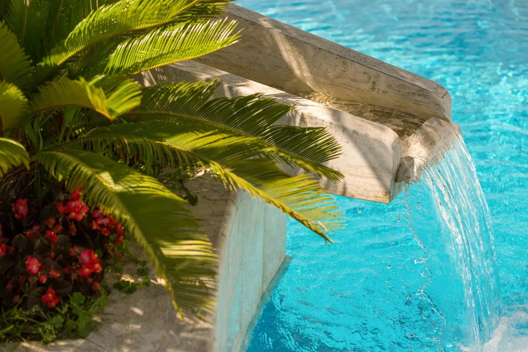 Swimming pool in Villa Araucaria