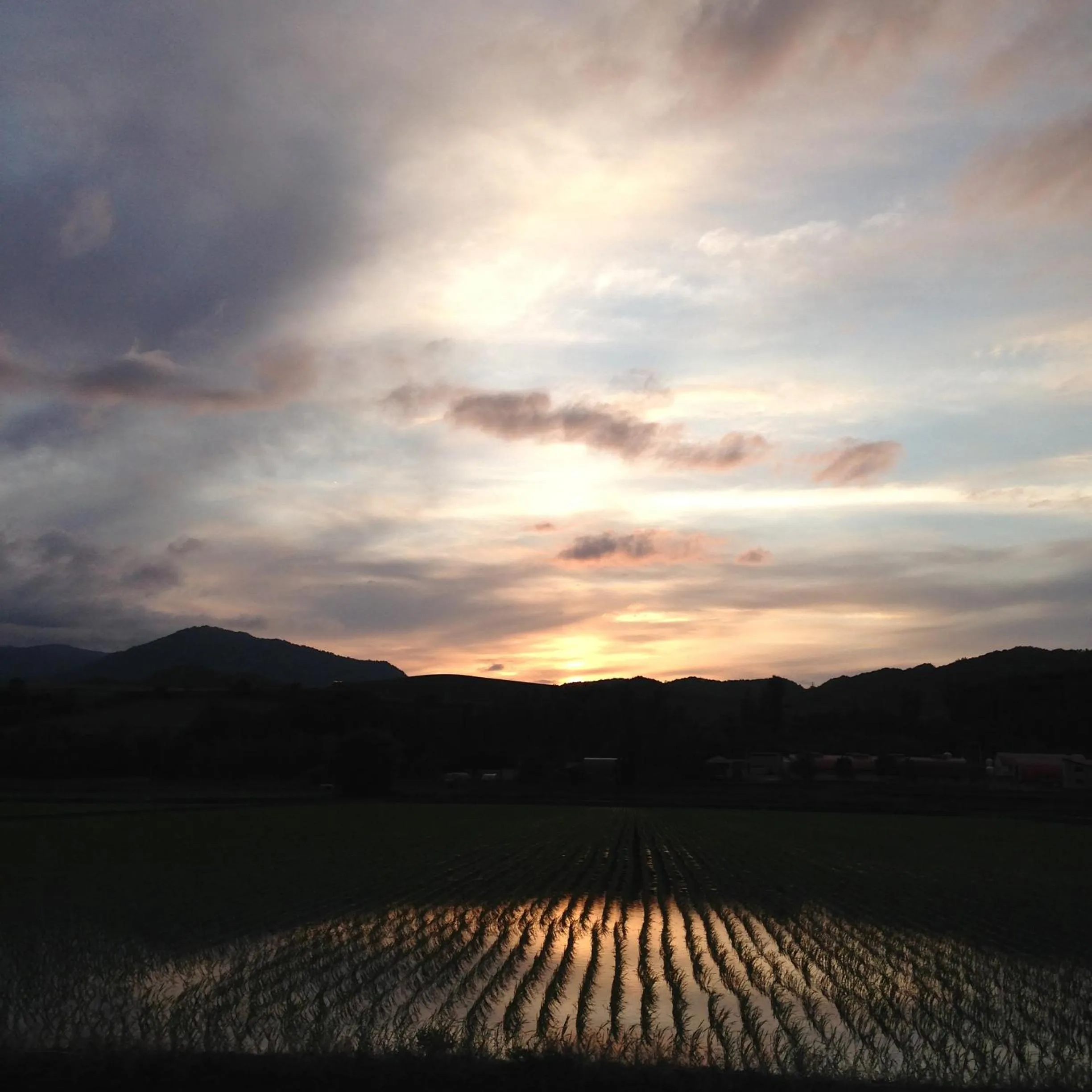 Neighbourhood in Element