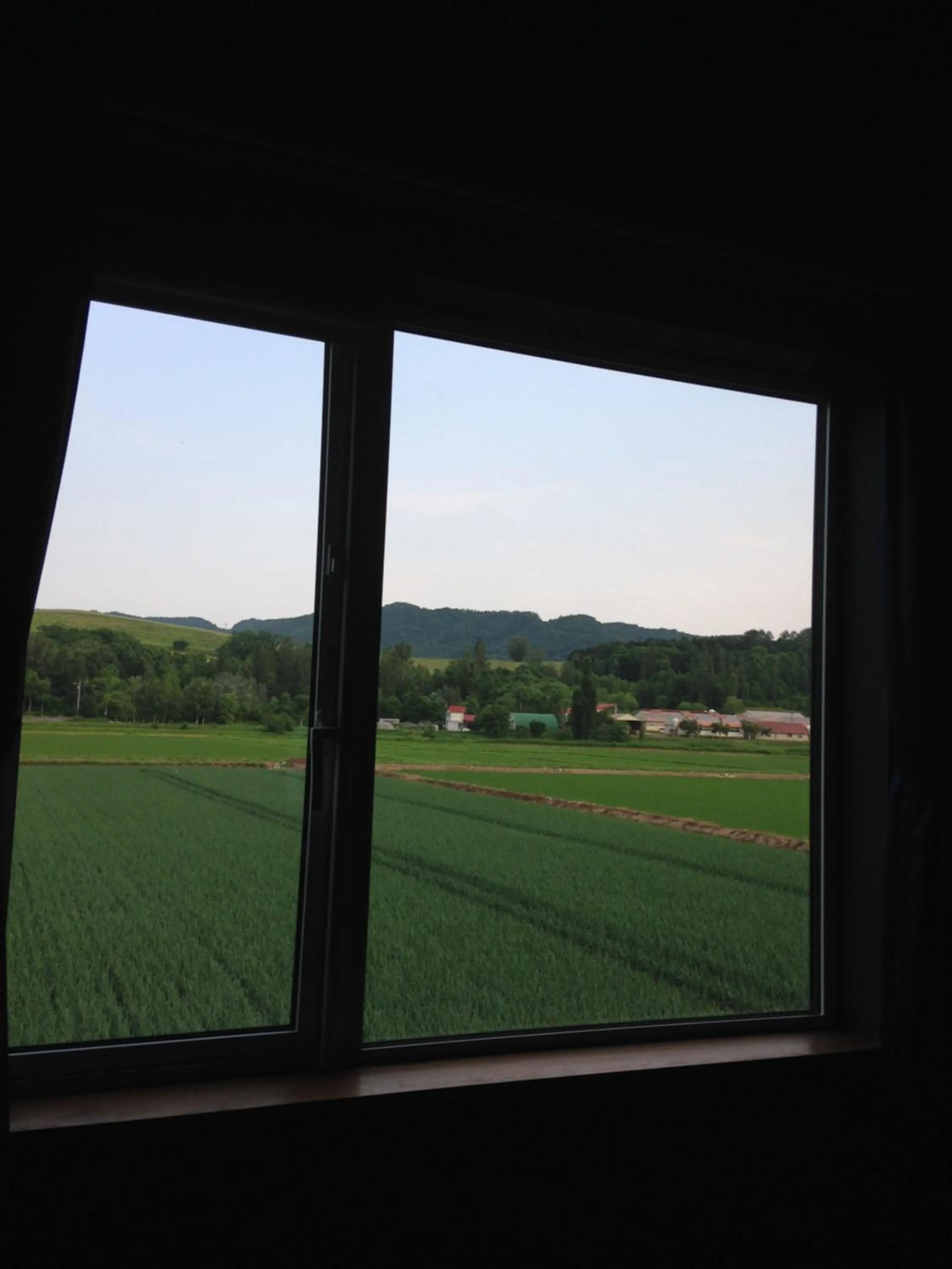 View (from property/room) in Element