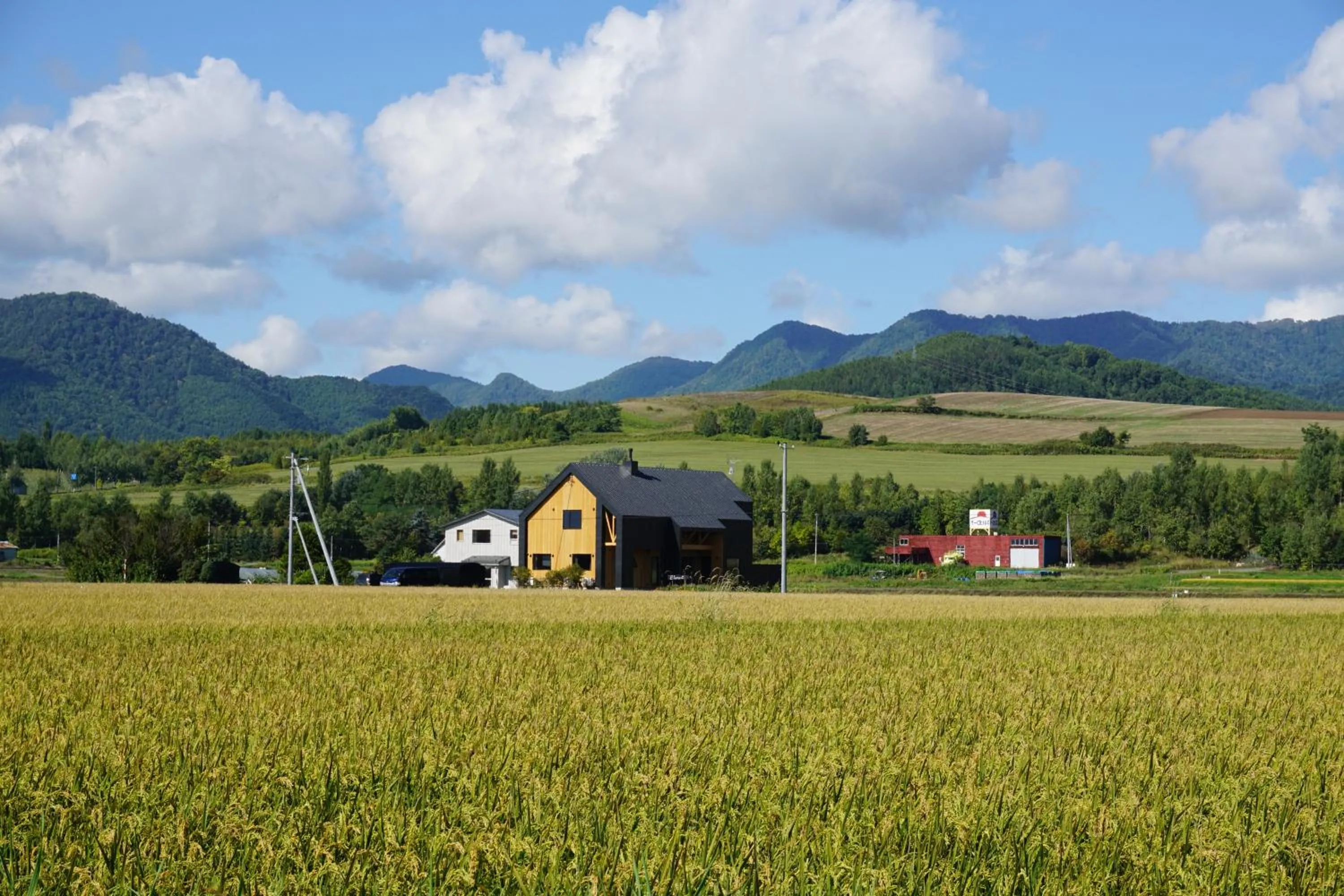 Facade/entrance in Element