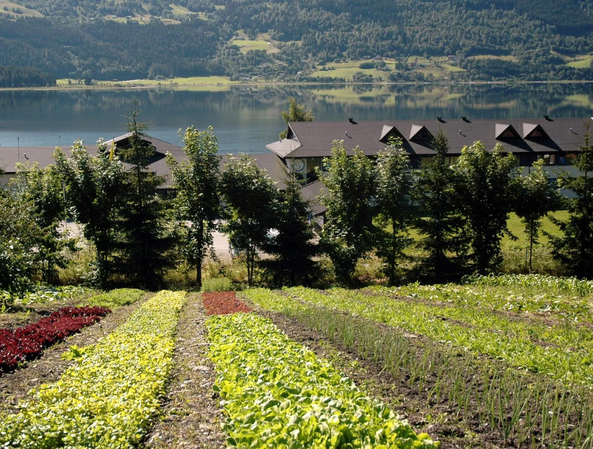 Facade/entrance in Voss Vandrarheim Hostel