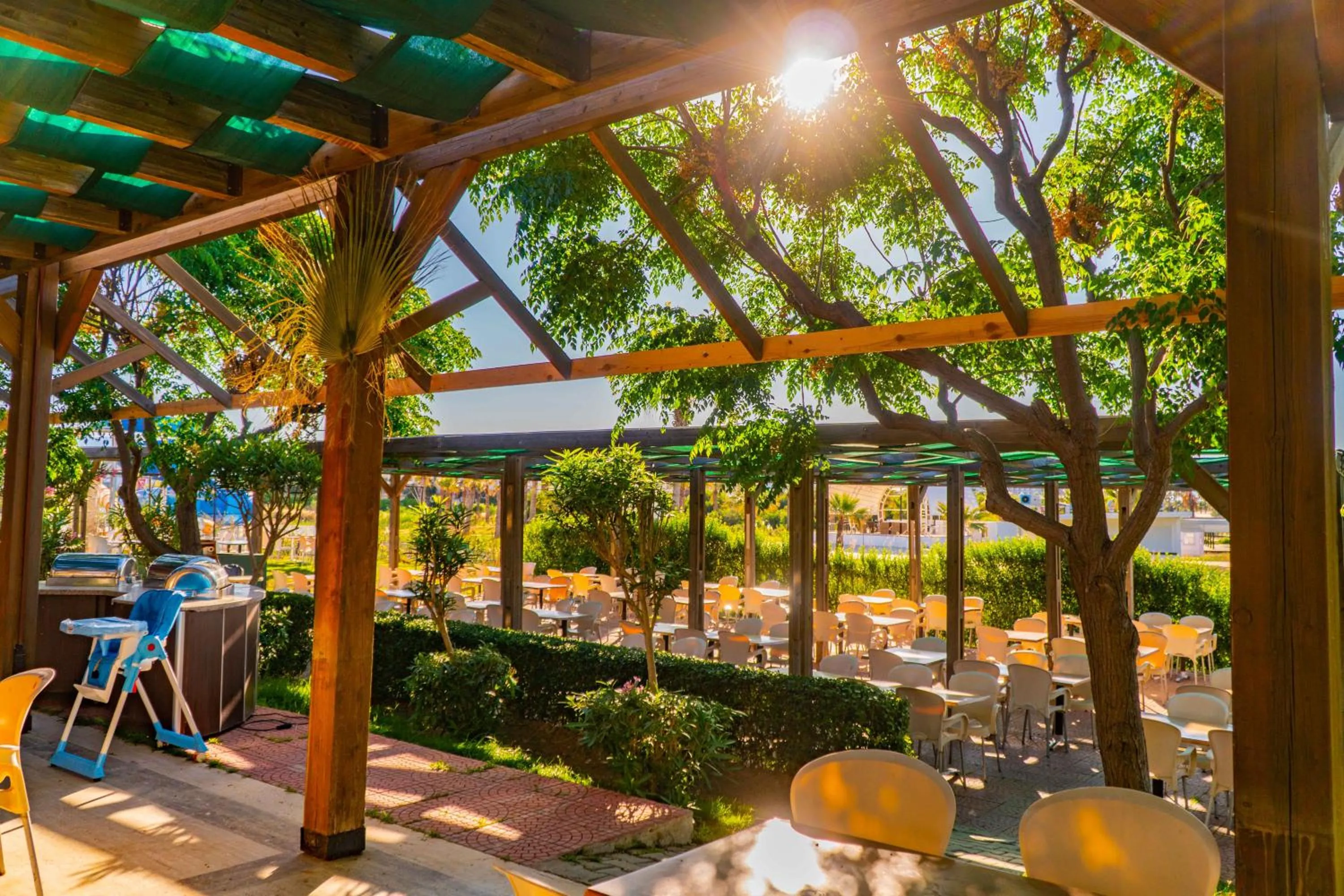 Beach in Royal Atlantis Spa & Resort