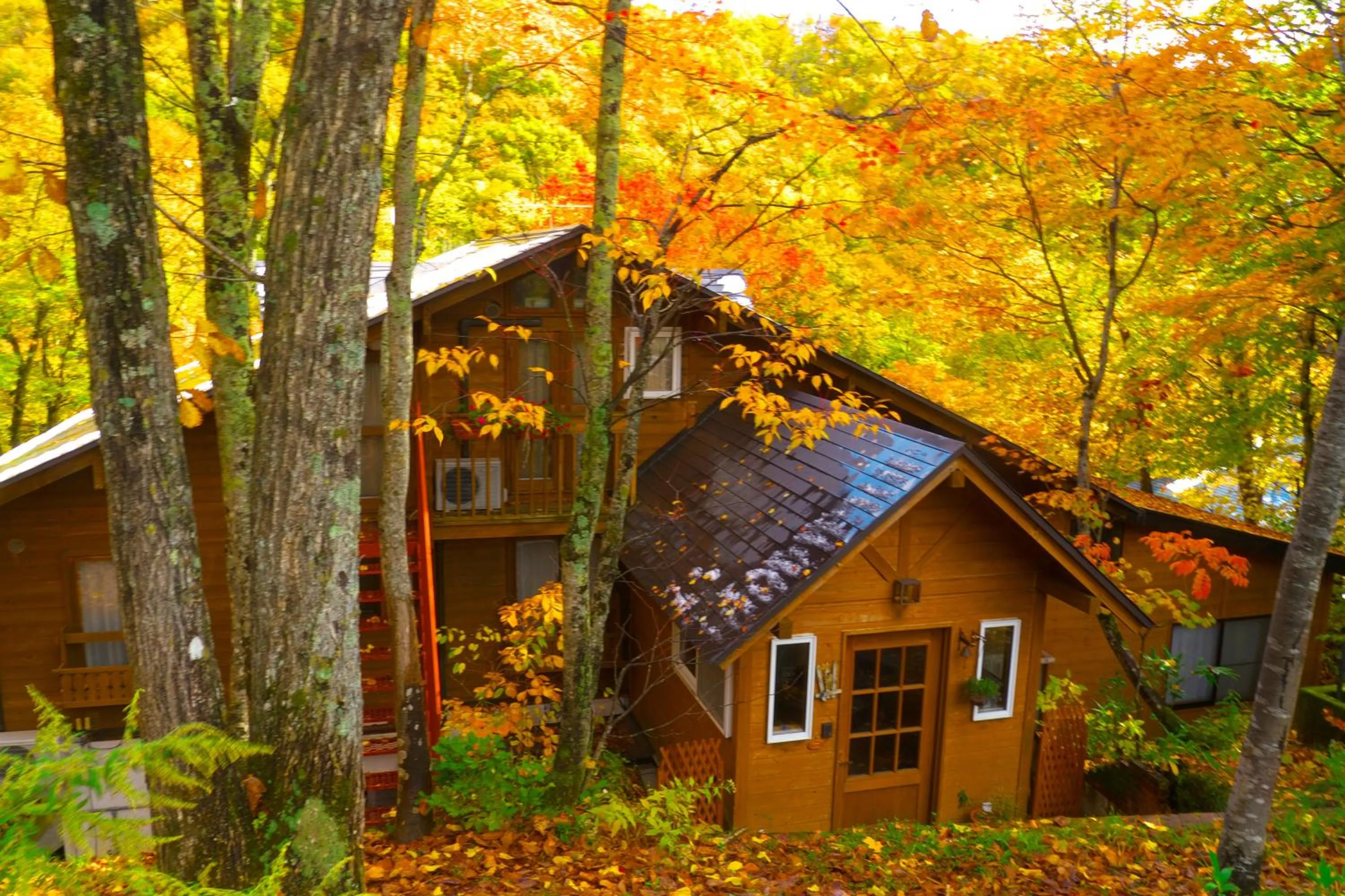 Facade/entrance in Pension Buddy