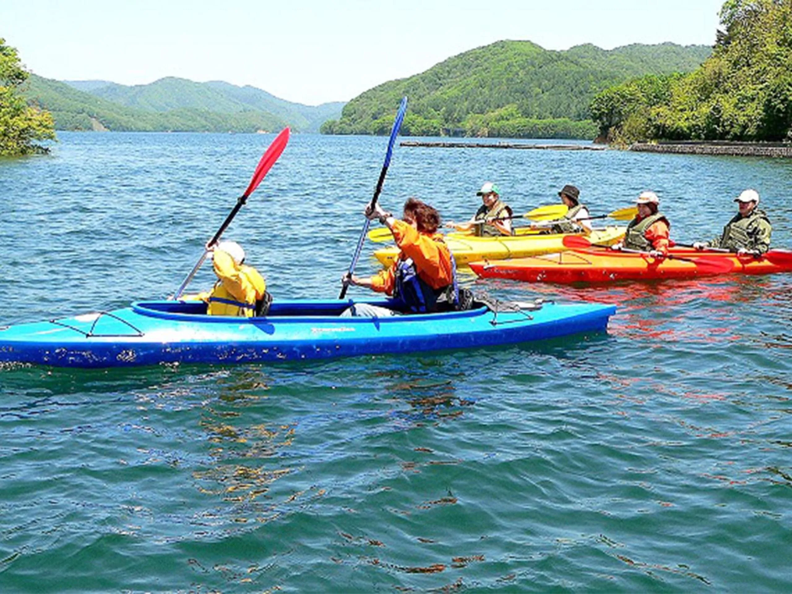 Activities in Pension Buddy