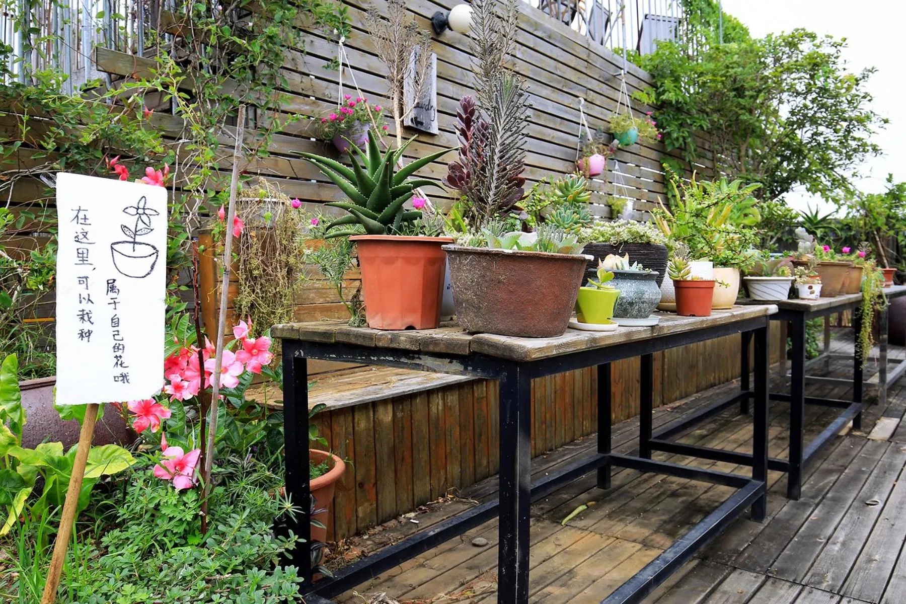 Garden in Sky Garden Inn