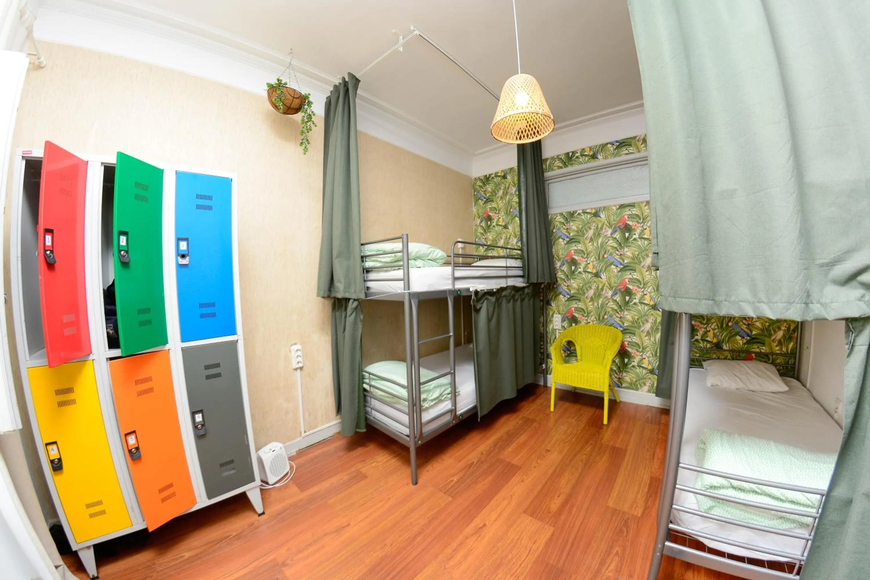 Single Bed in Female Dormitory Room in Travel & Live Hostel
