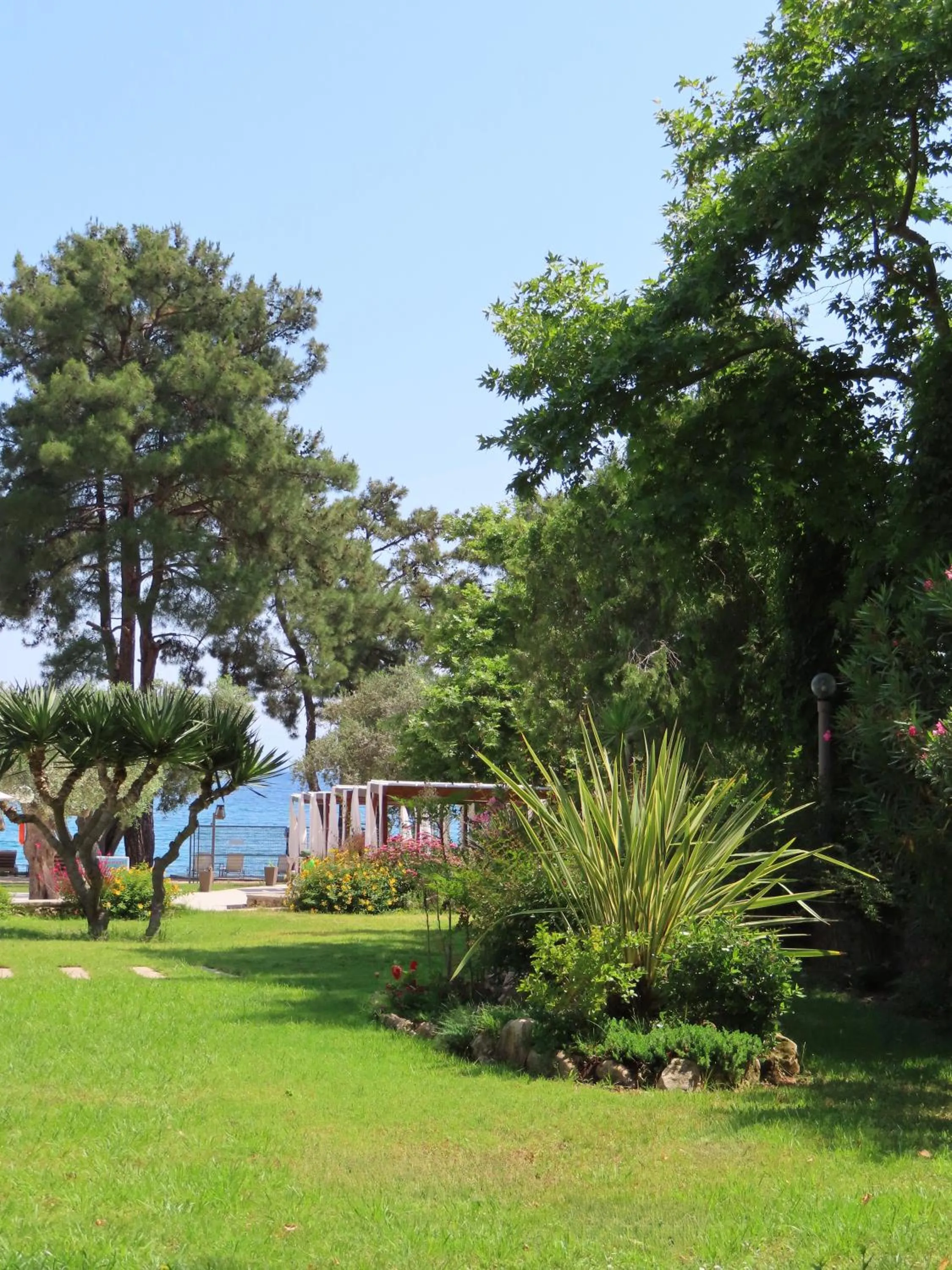 Natural landscape in Aroma Beach Bungalows