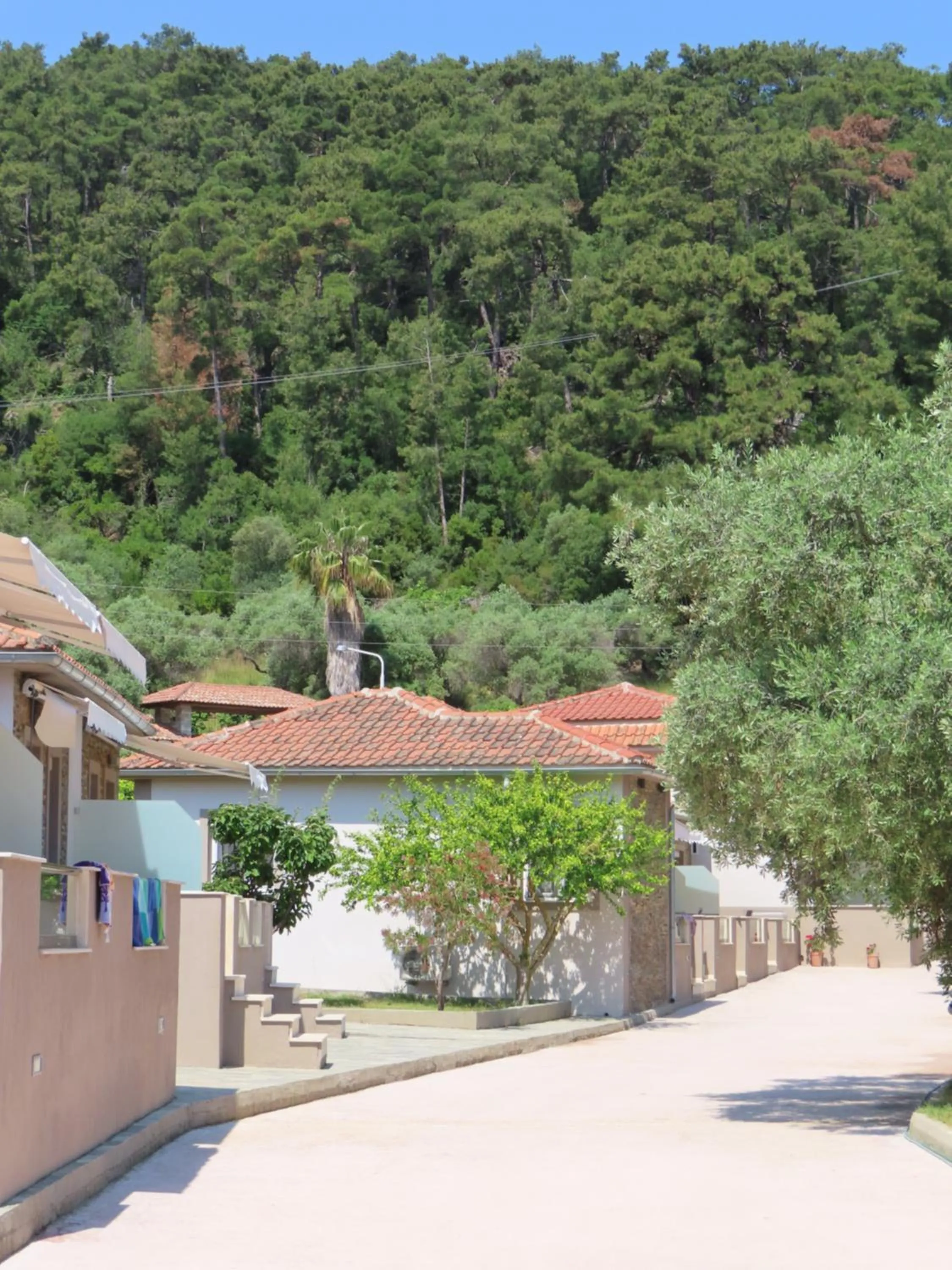 Property building in Aroma Beach Bungalows