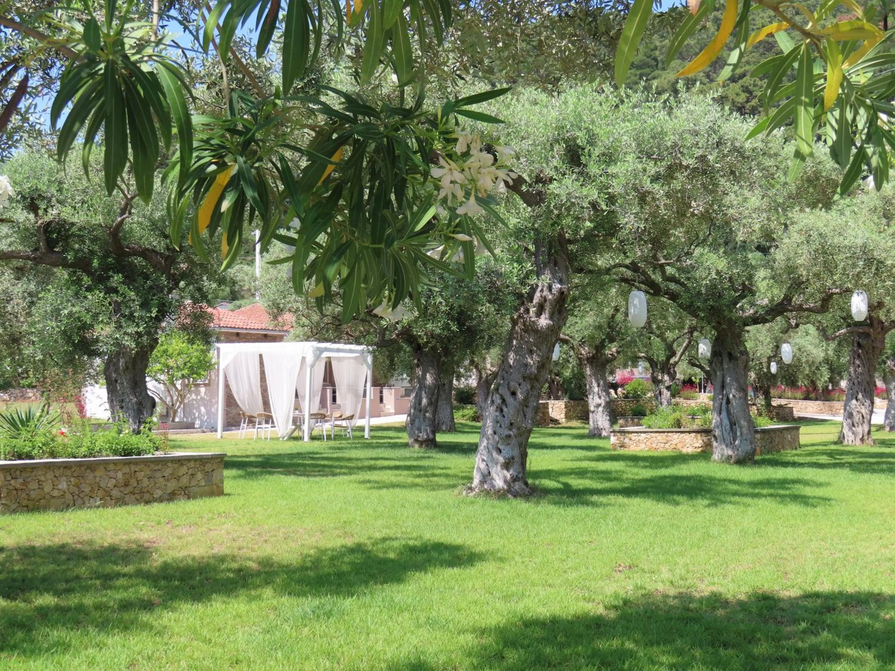 Garden in Aroma Beach Bungalows