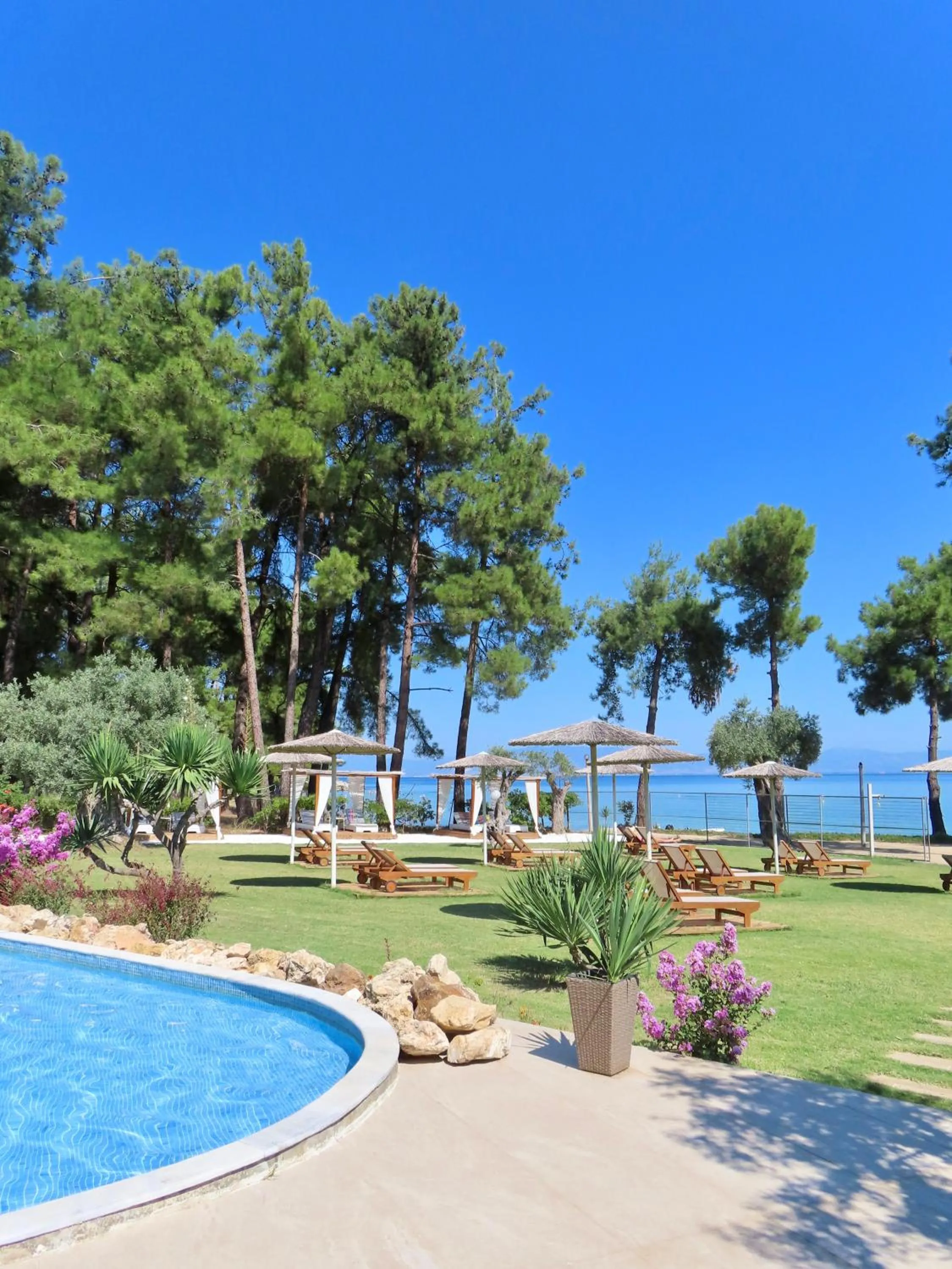 Garden in Aroma Beach Bungalows