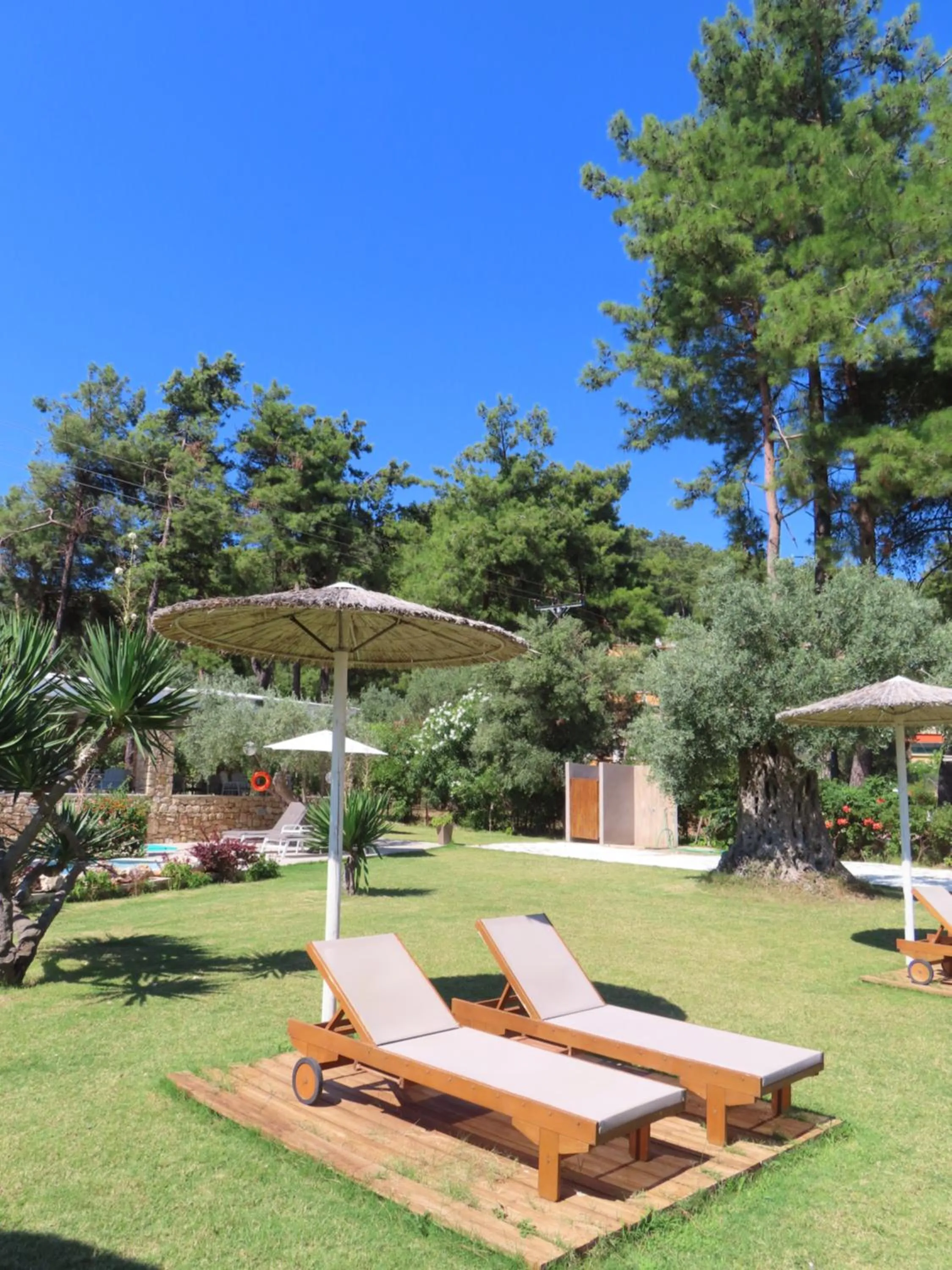 Garden in Aroma Beach Bungalows