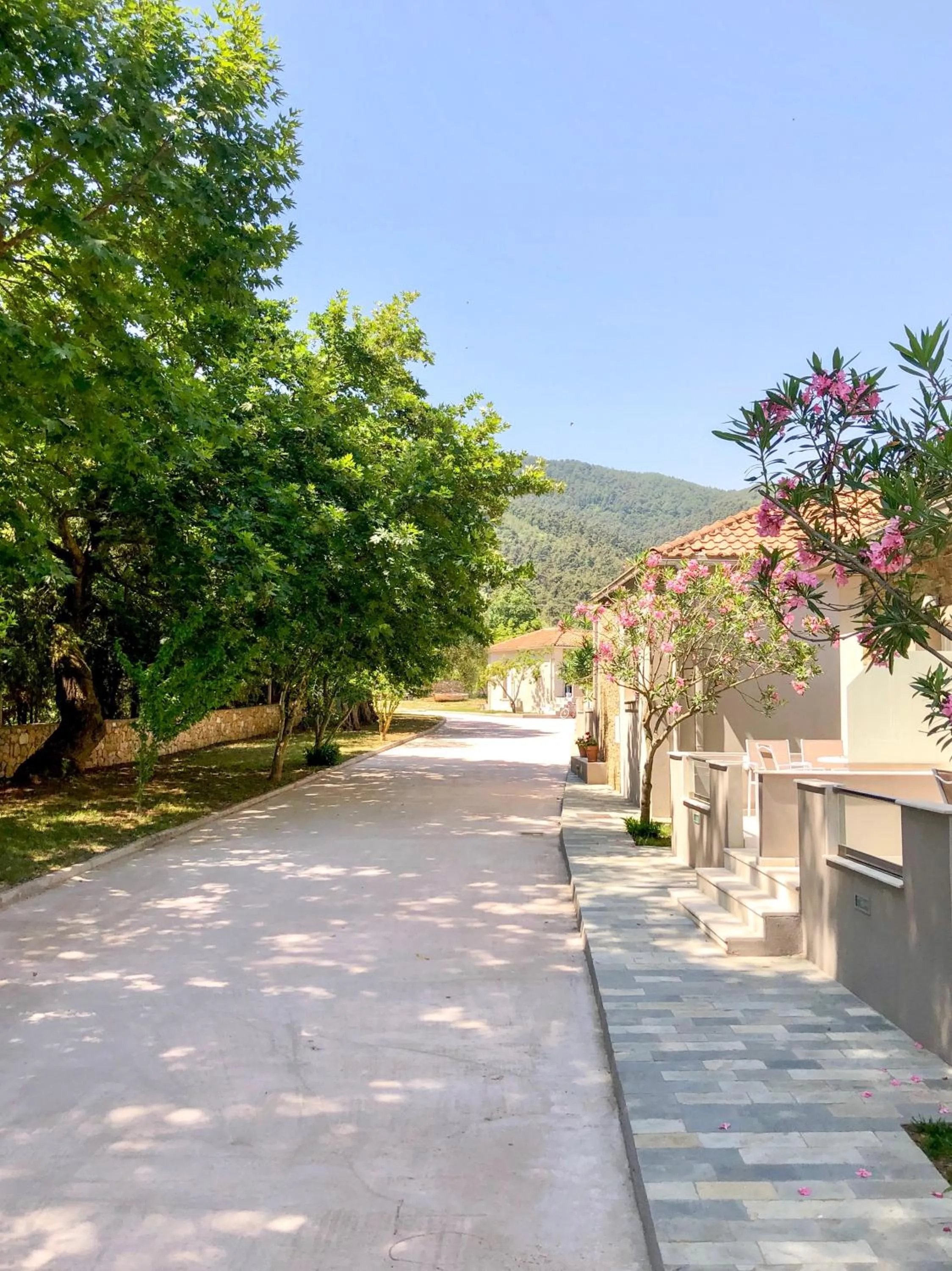 Property building in Aroma Beach Bungalows