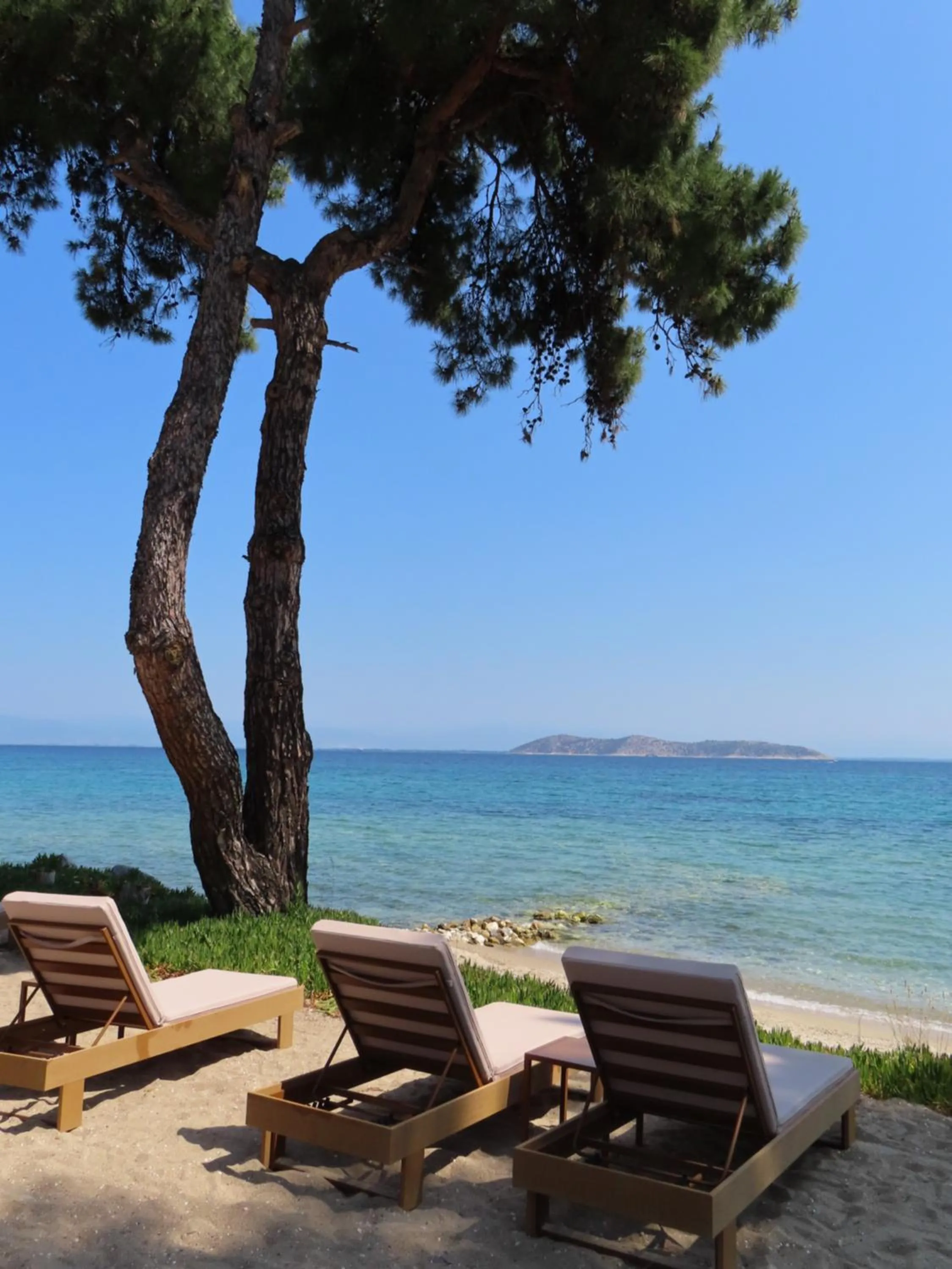 Beach in Aroma Beach Bungalows